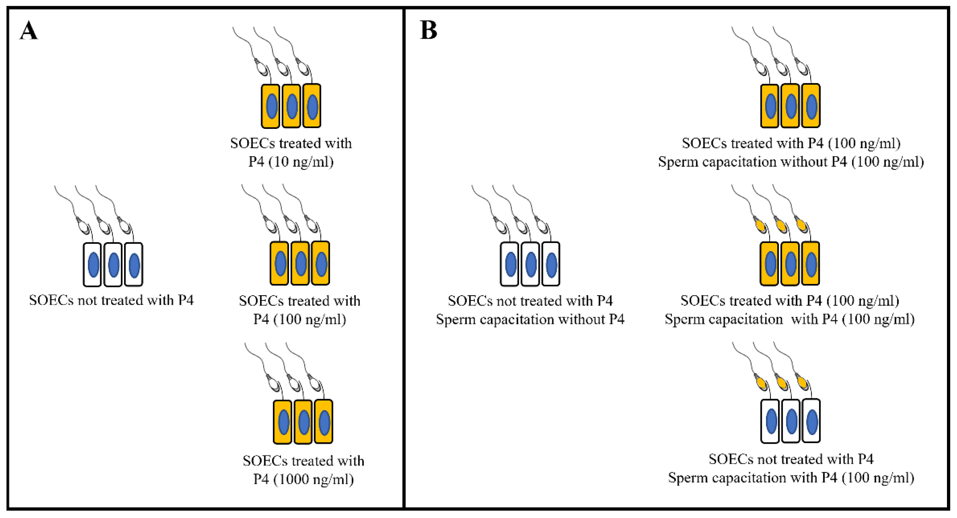 Animals 12 01191 g001 Animals 12 01191 g001