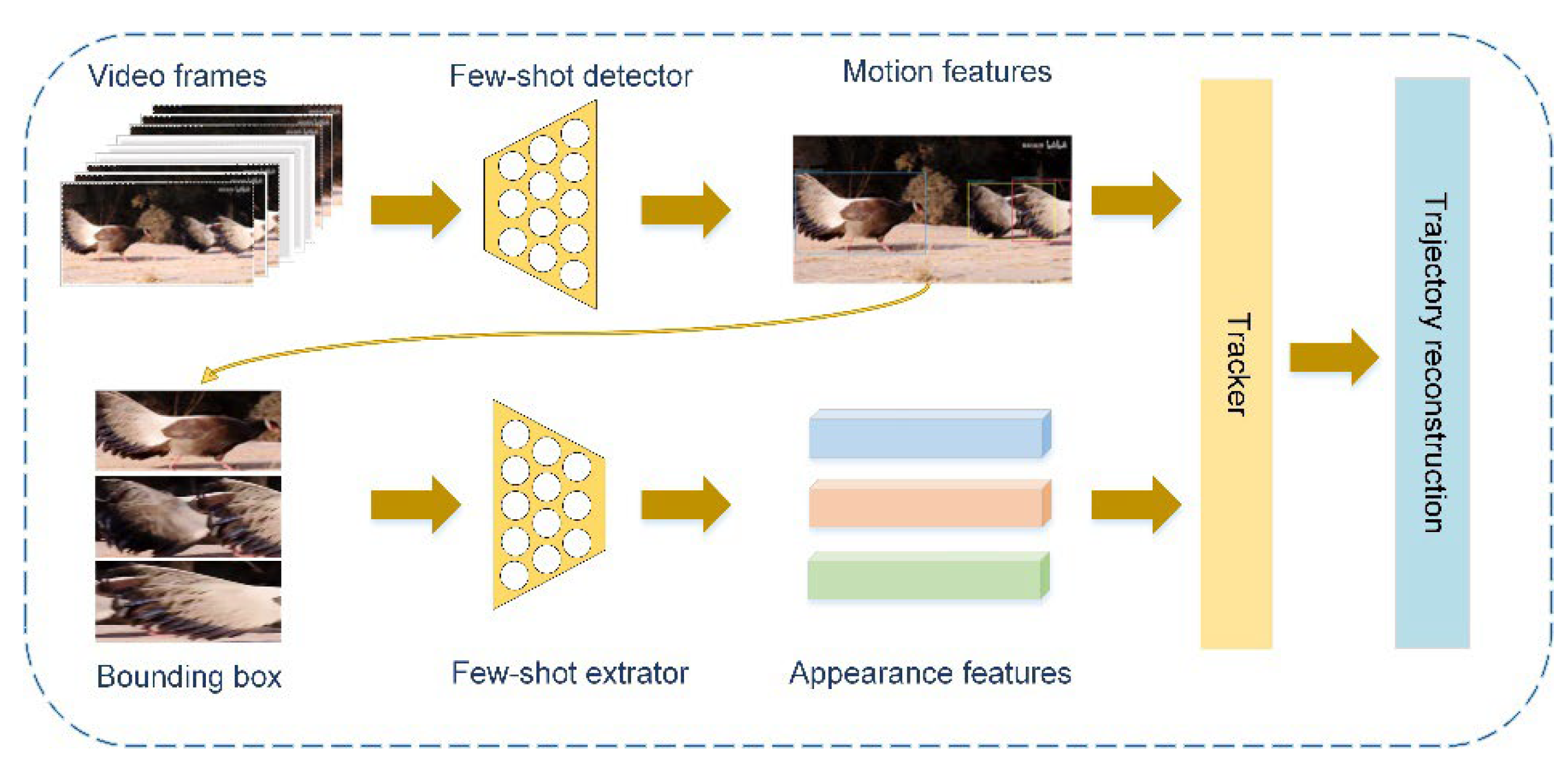 Animals 12 01223 g001