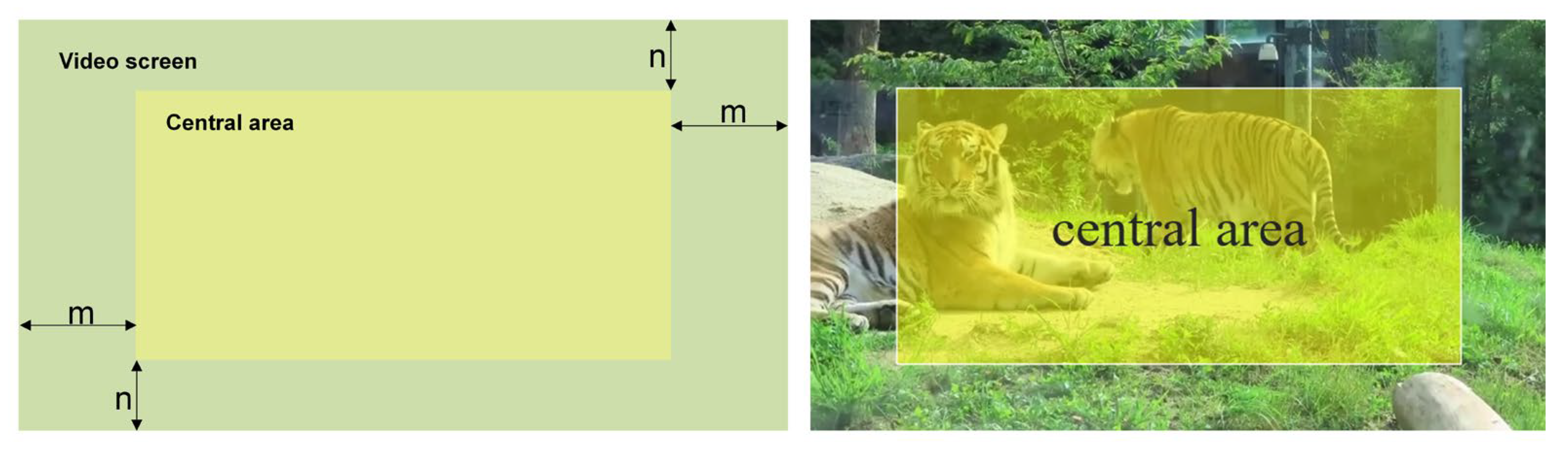 Animals 12 01223 g006