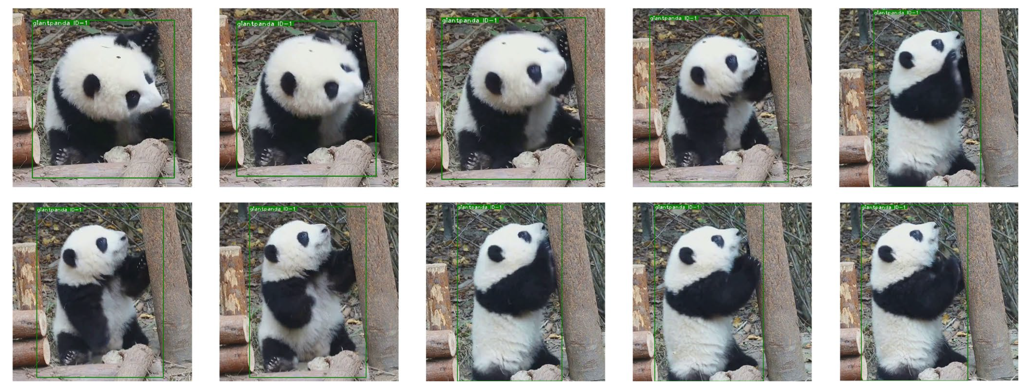 Animals 12 01223 g008