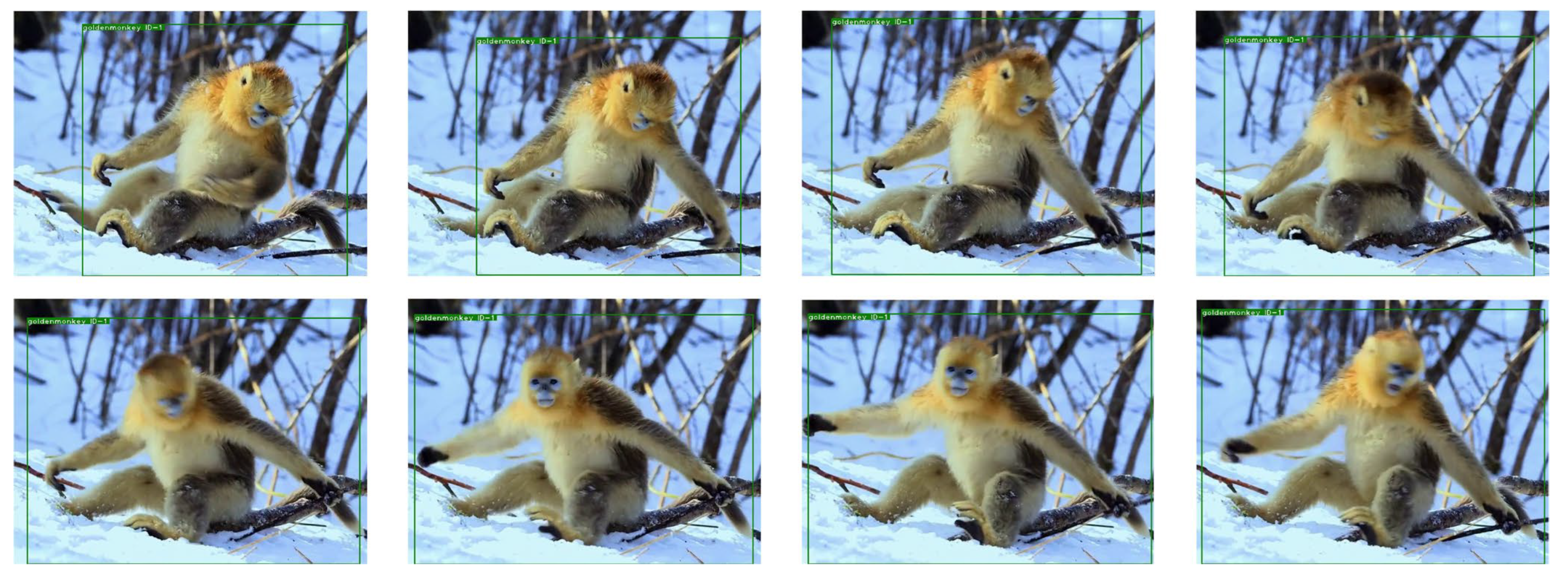 Animals 12 01223 g009