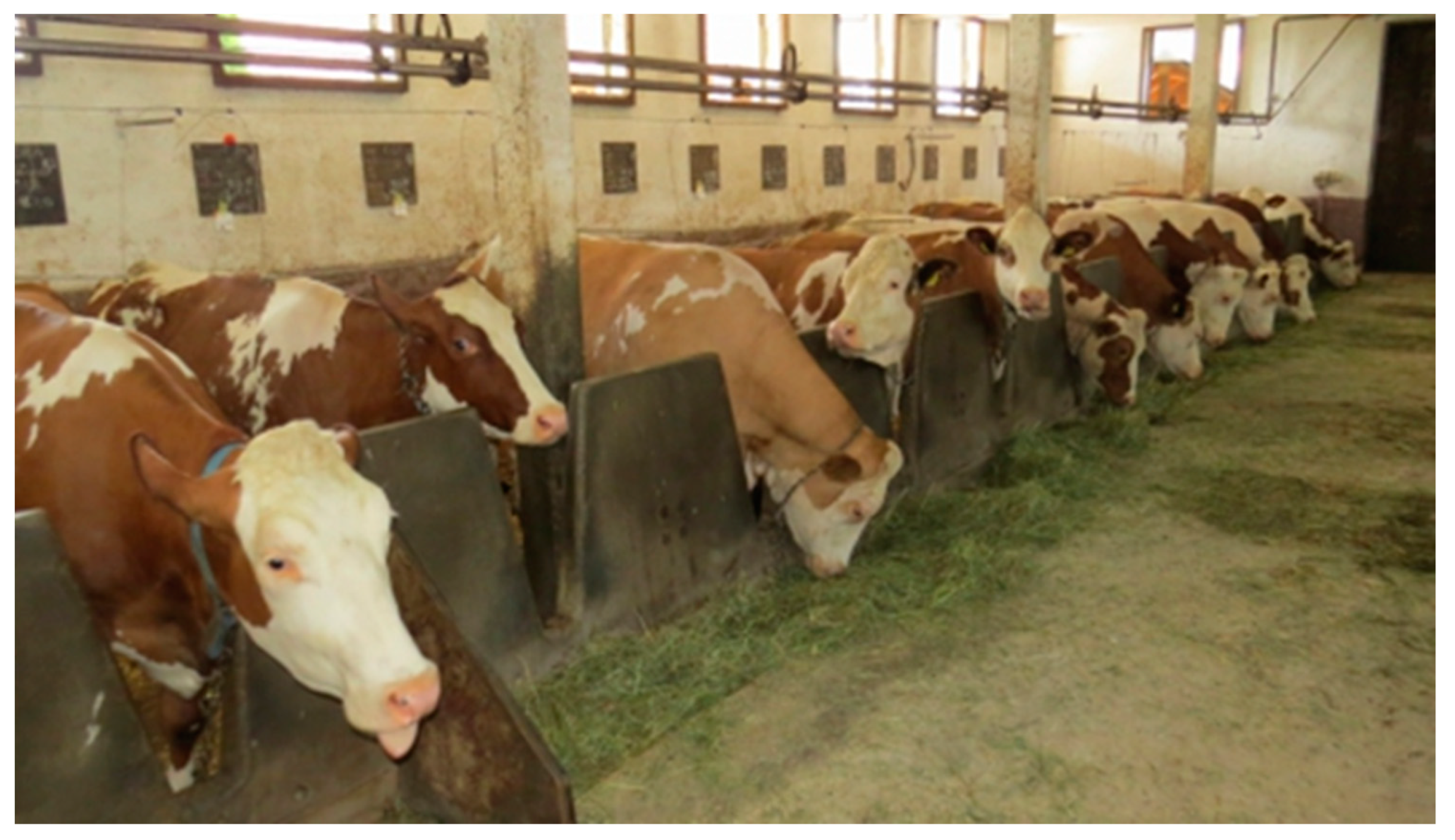 Animals 12 01231 g001