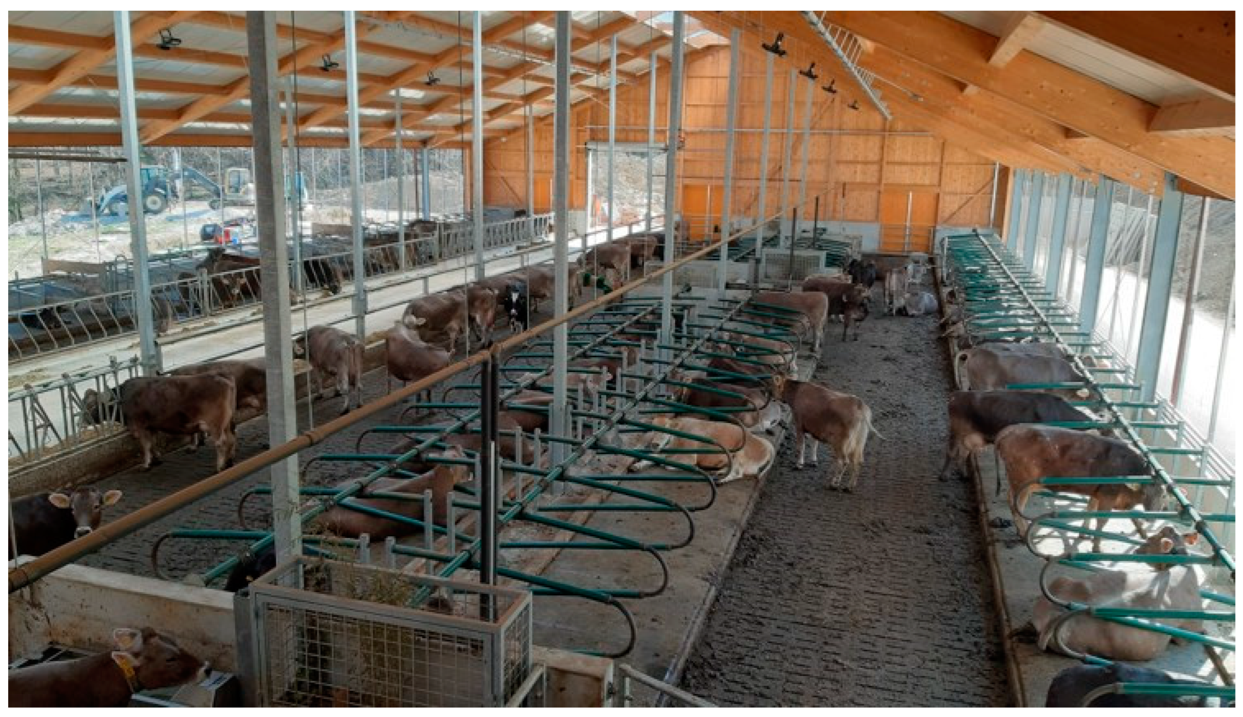 Animals 12 01231 g002