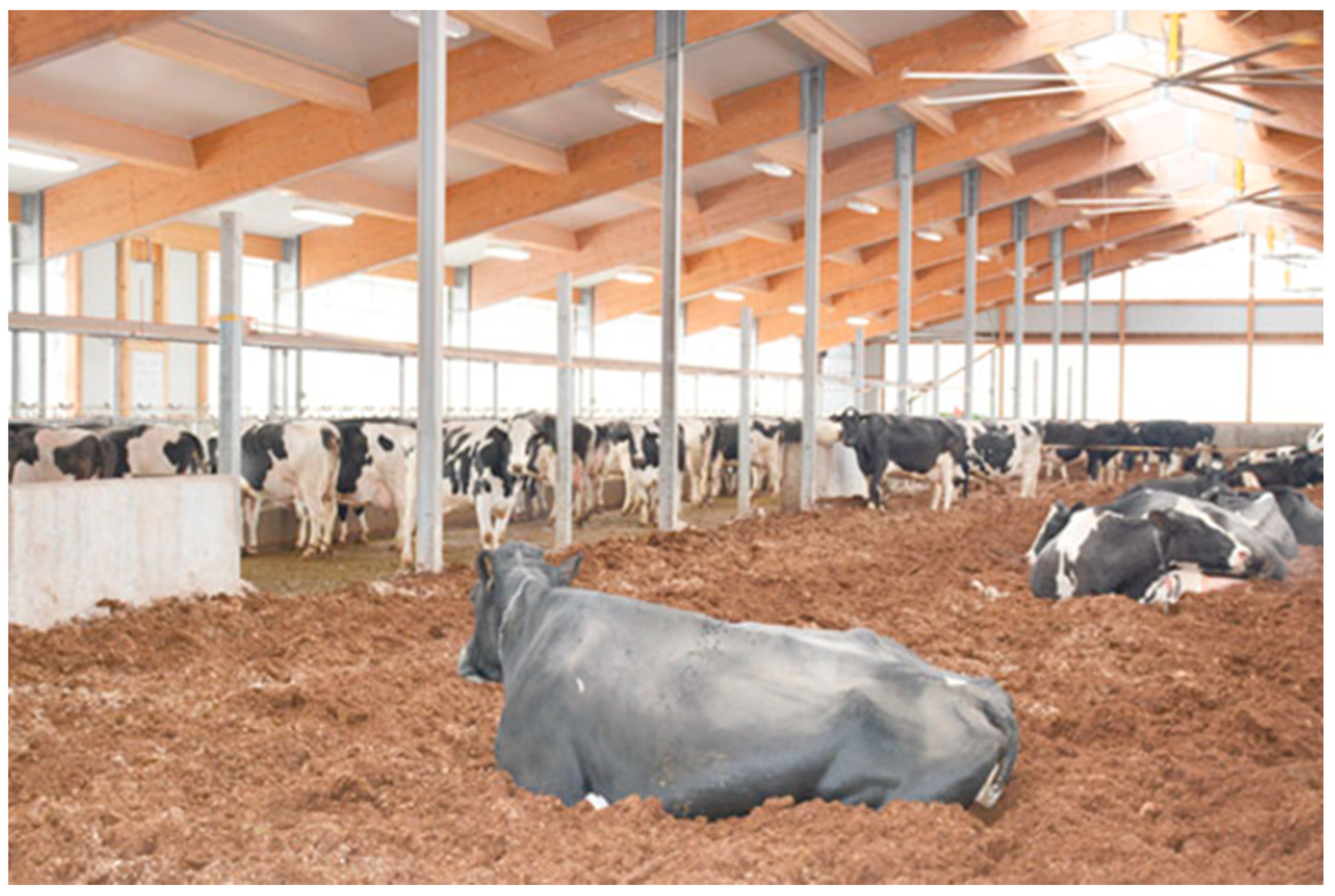 Animals 12 01231 g003