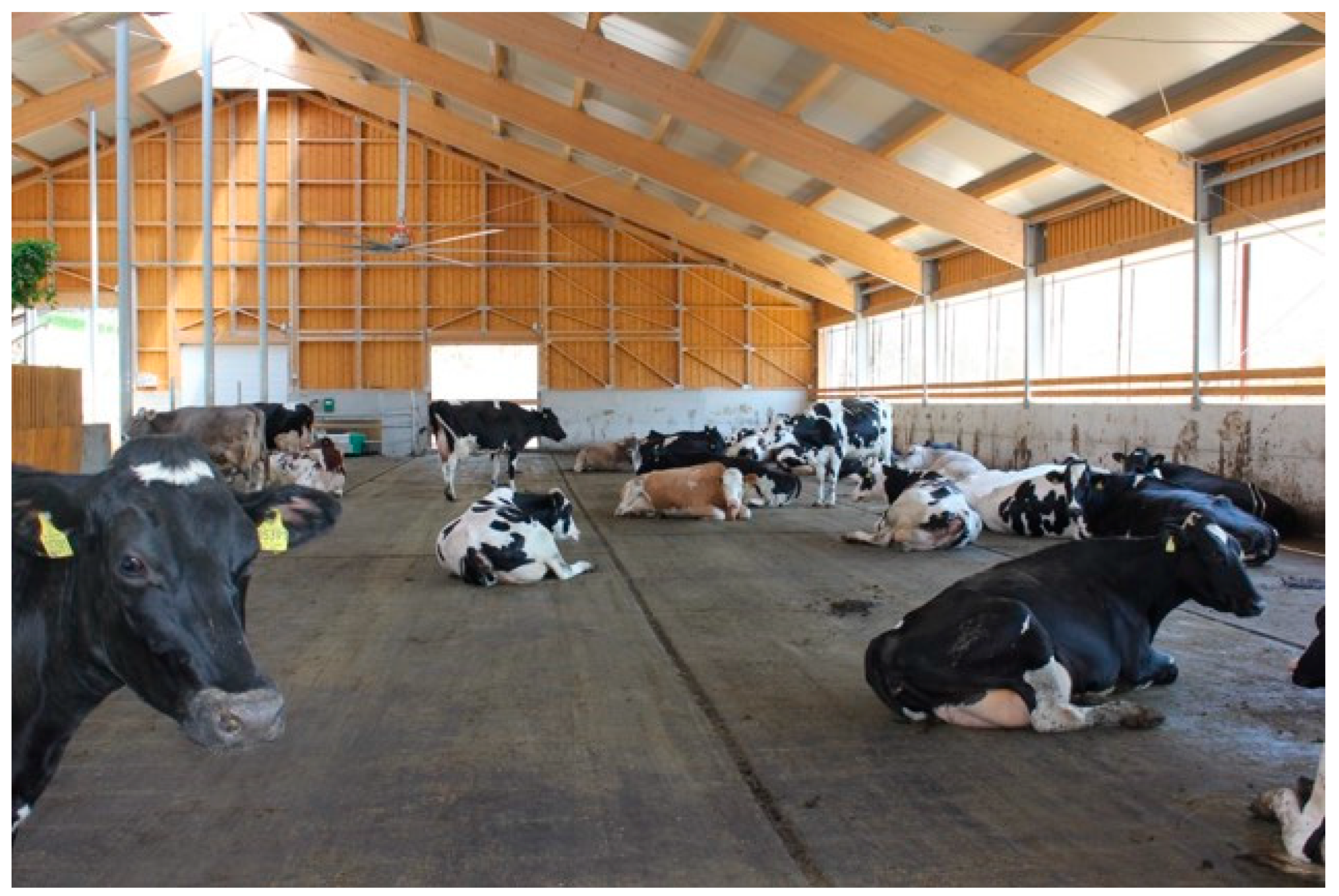 Animals 12 01231 g004