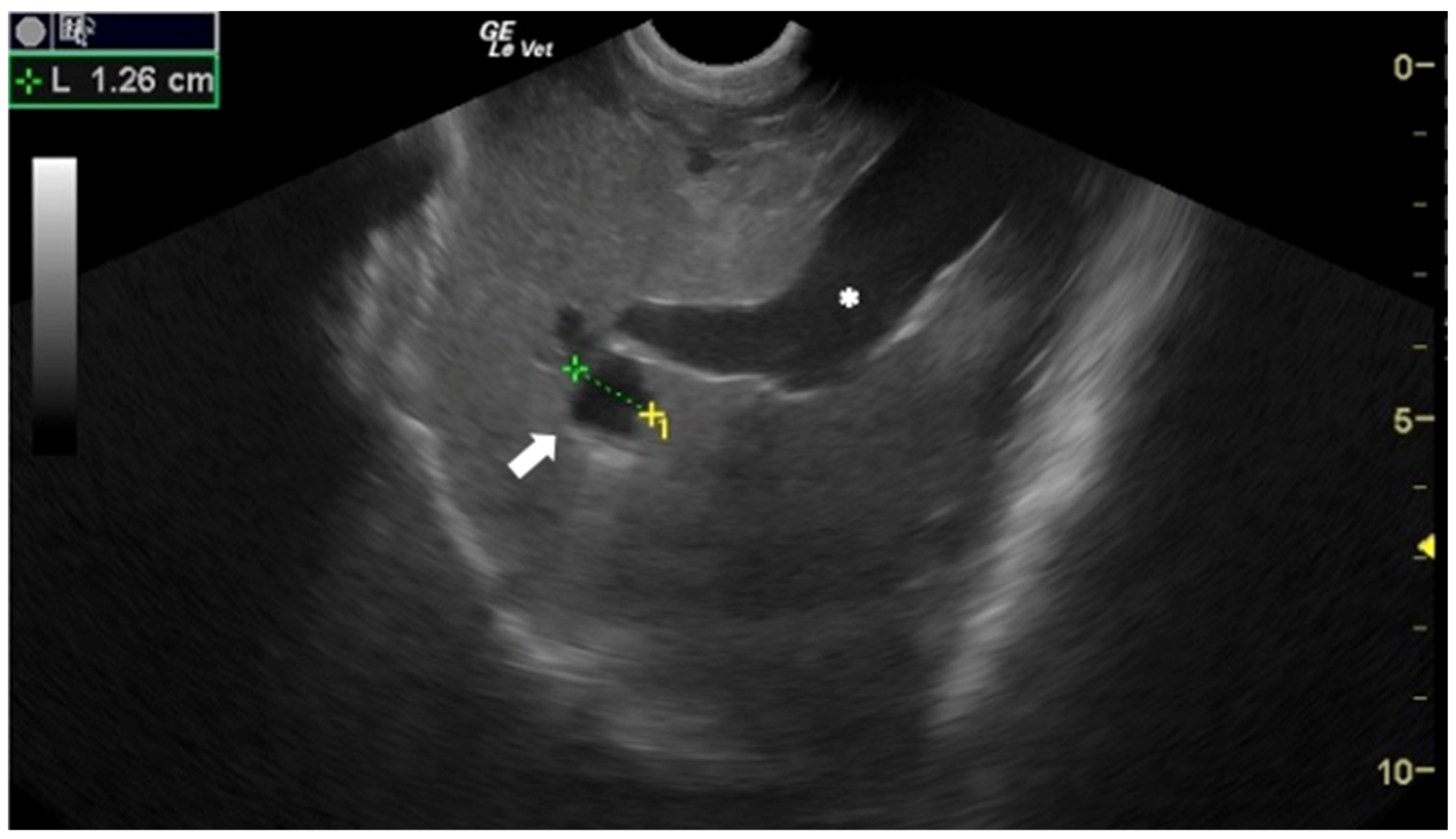 Animals 12 01252 g002