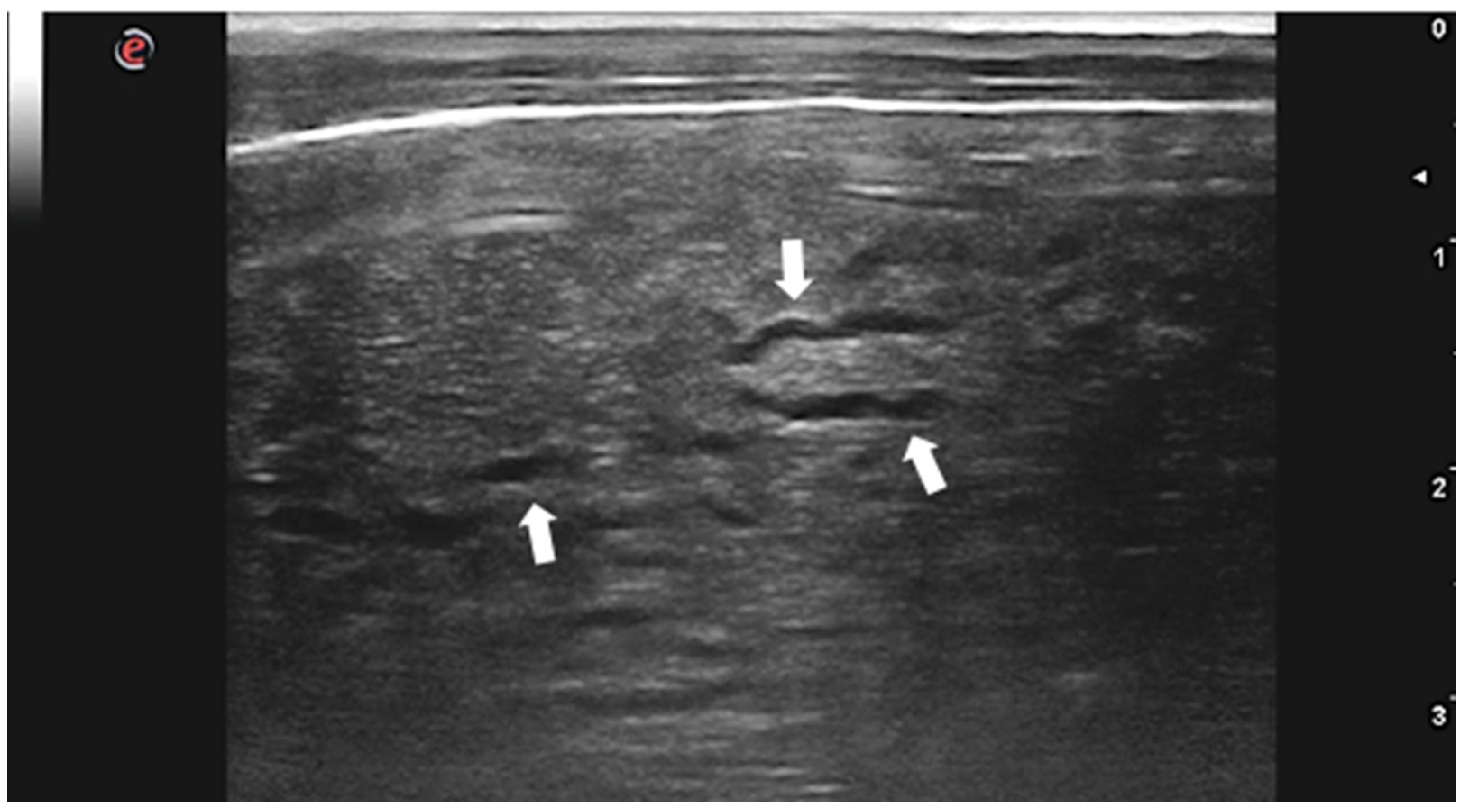 Animals 12 01252 g003