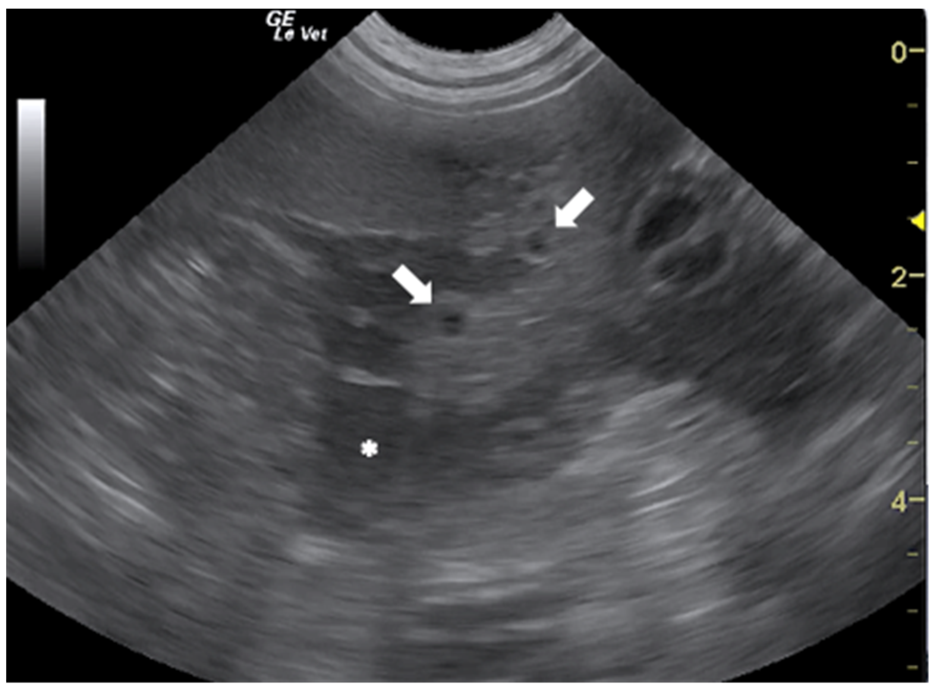 Animals 12 01252 g004