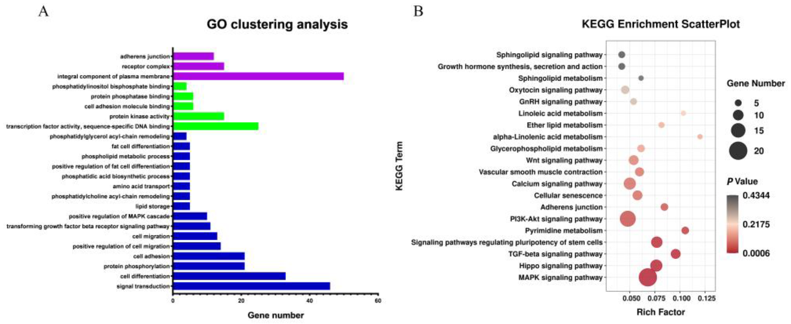 Animals 12 01256 g004