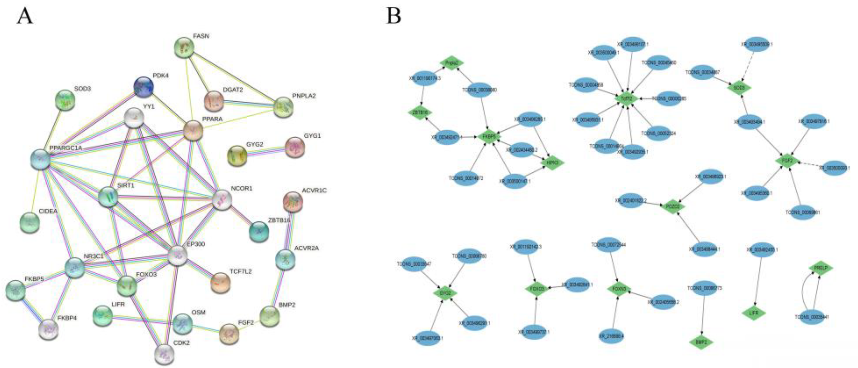 Animals 12 01256 g005