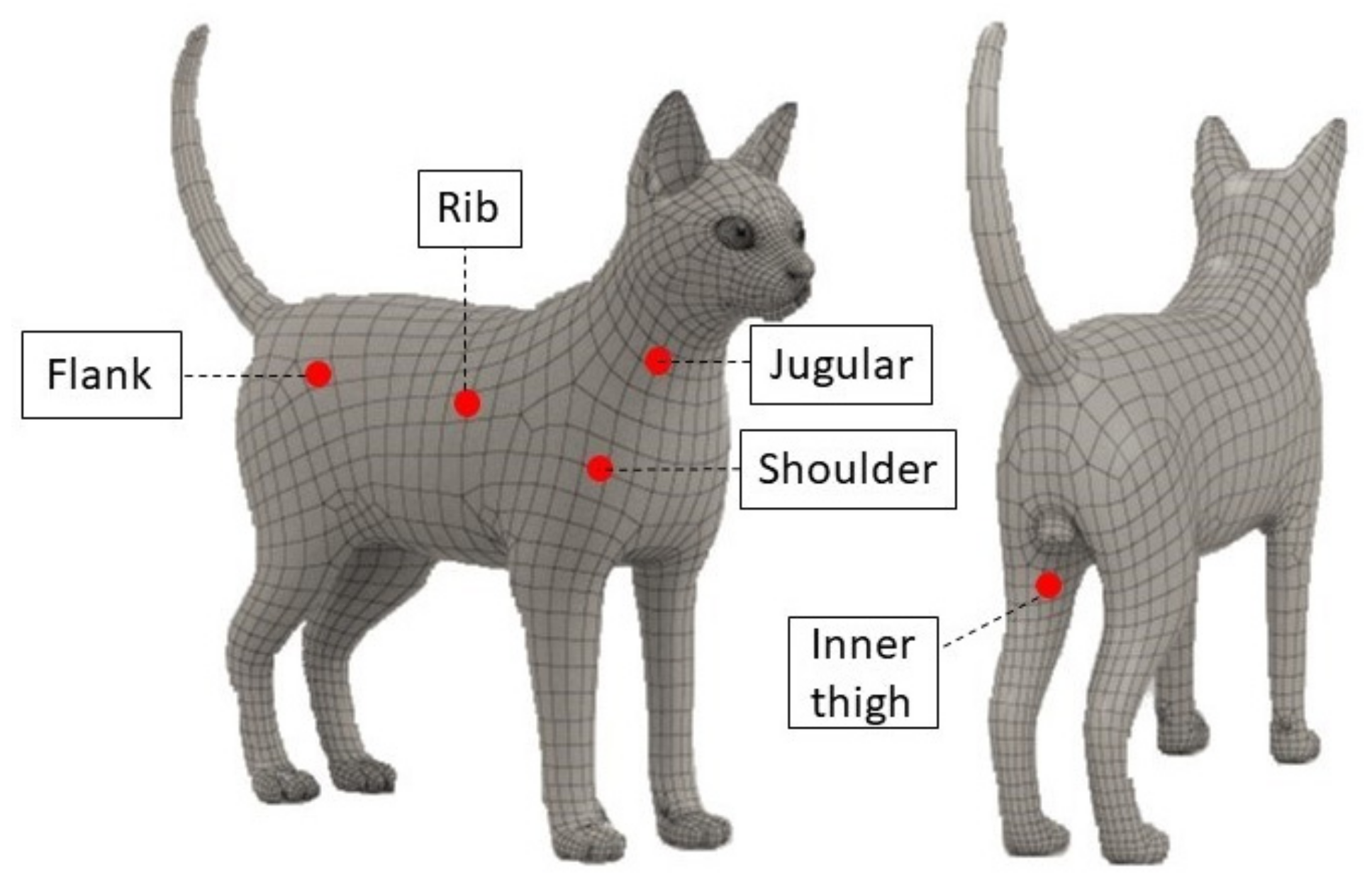 Animals 12 01275 g001