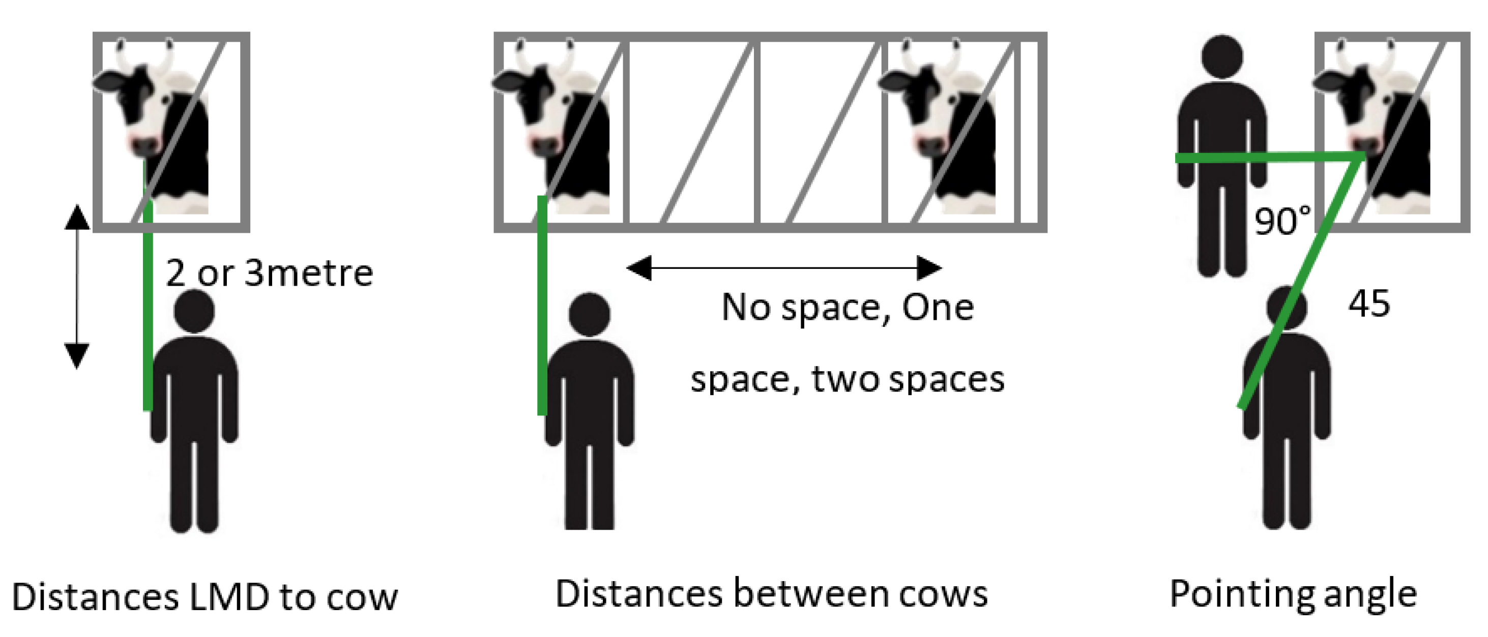 Animals 12 01295 g001