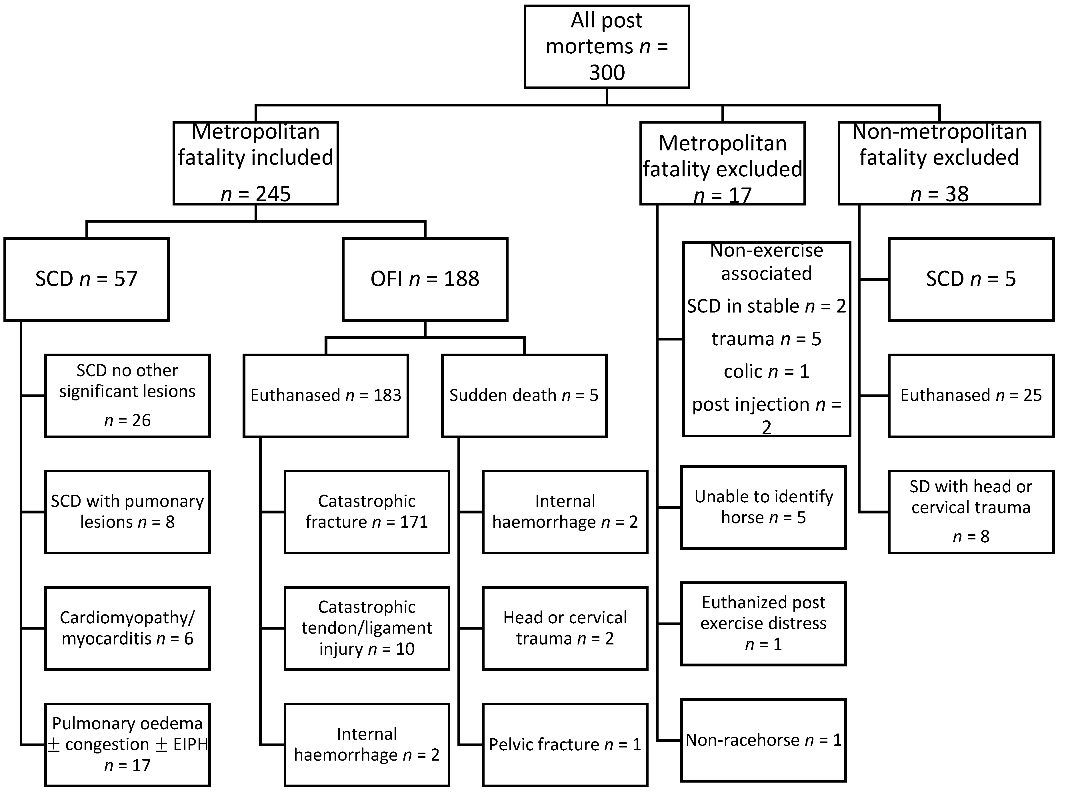 Animals 12 01297 g001