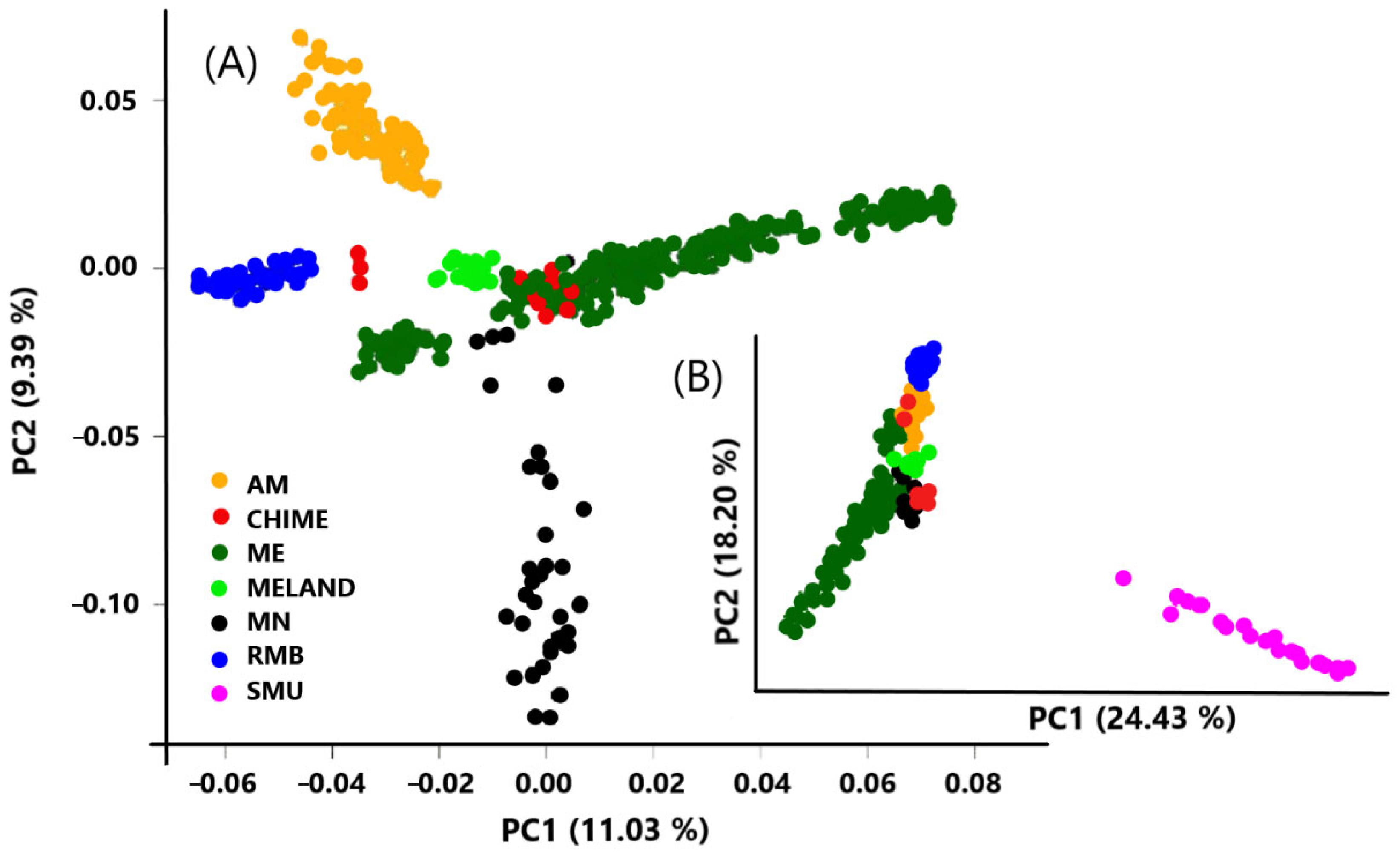 Animals 12 01327 g002