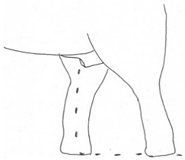 Animals 12 01332 i012