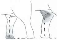 Animals 12 01332 i014