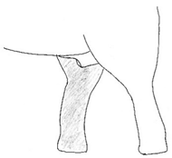 Animals 12 01332 i019