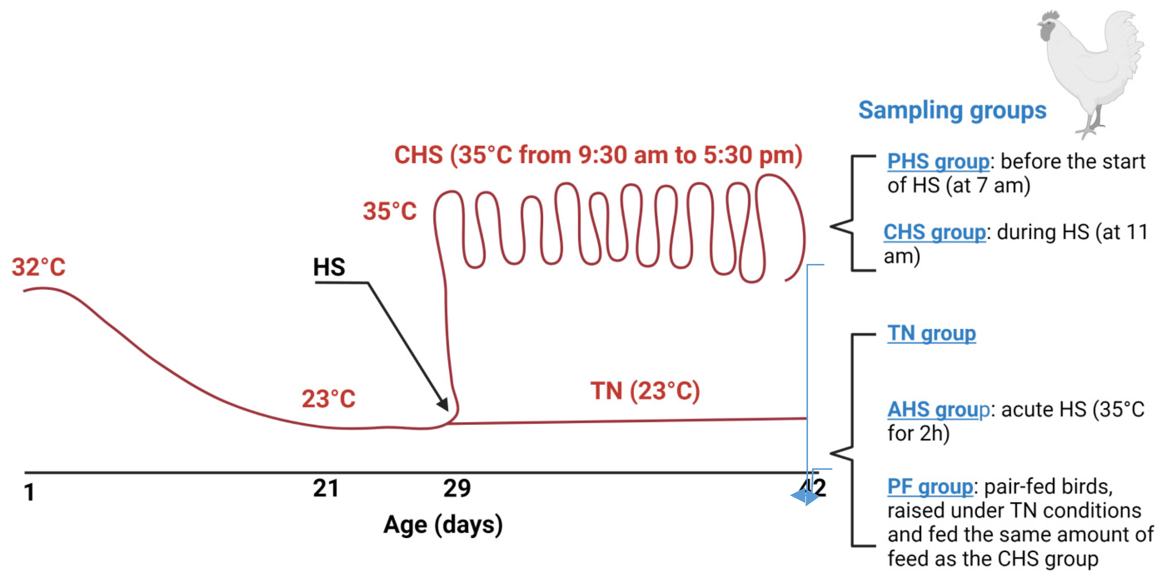Animals 12 01337 g001