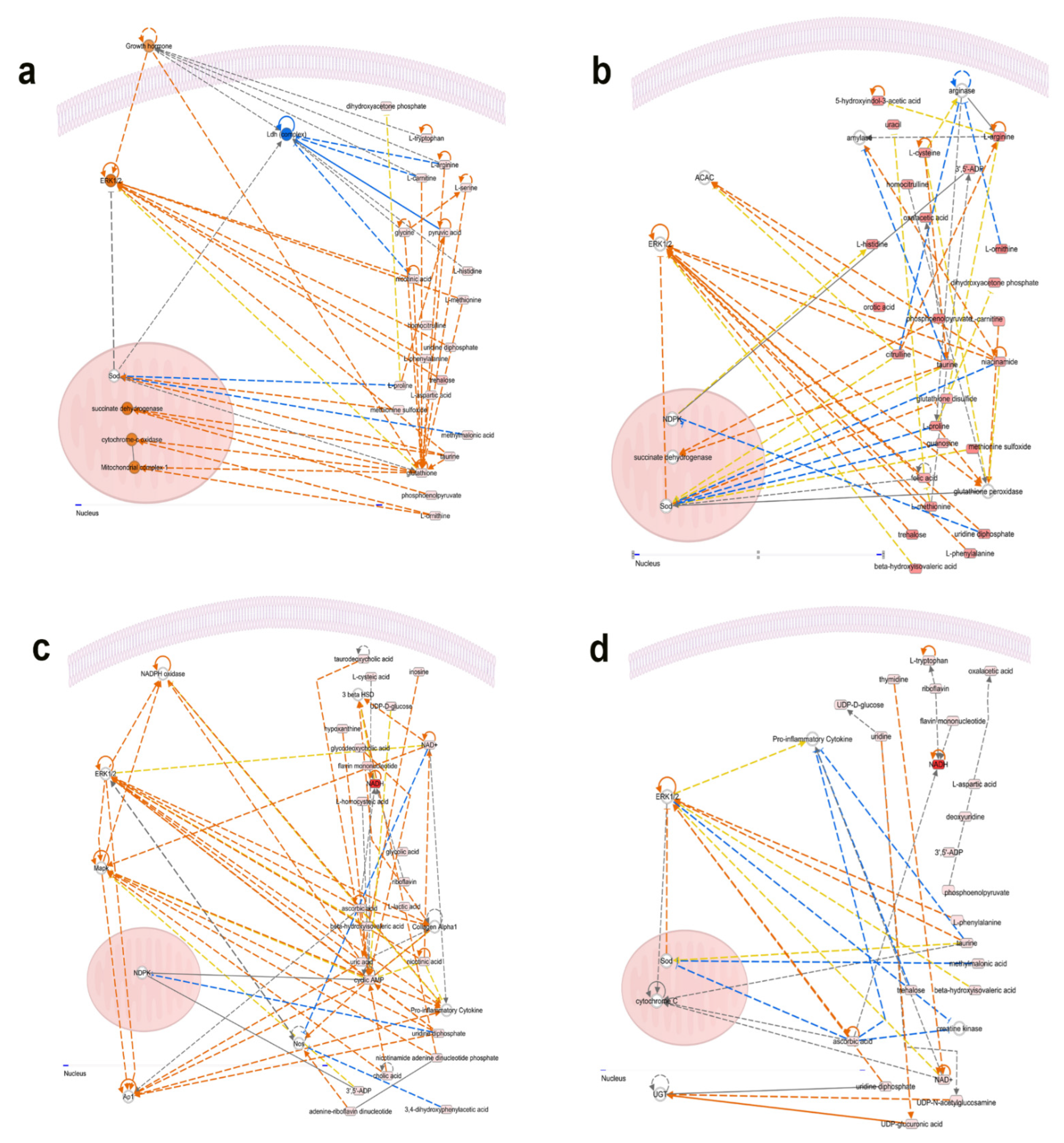 Animals 12 01337 g007