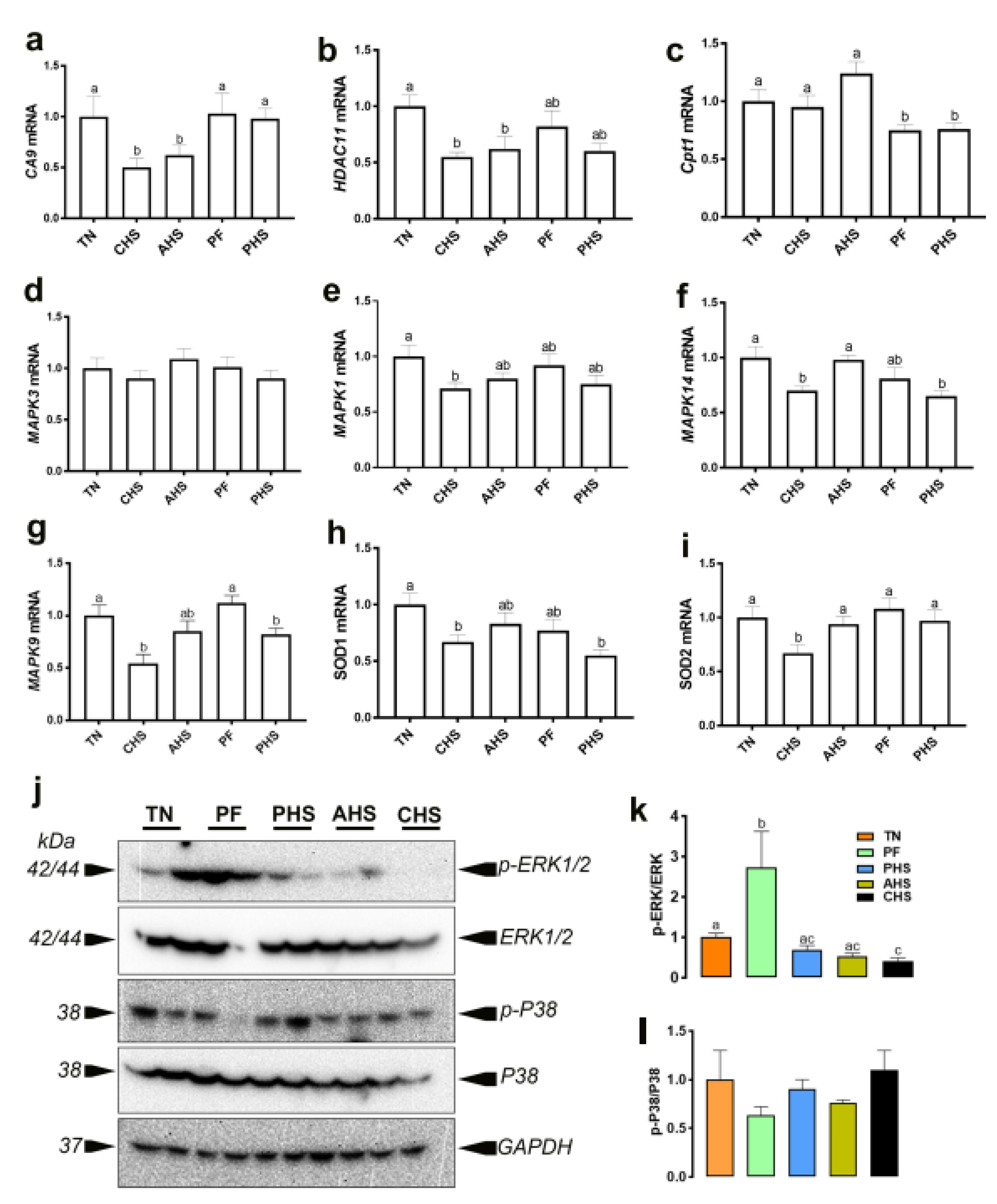 Animals 12 01337 g008