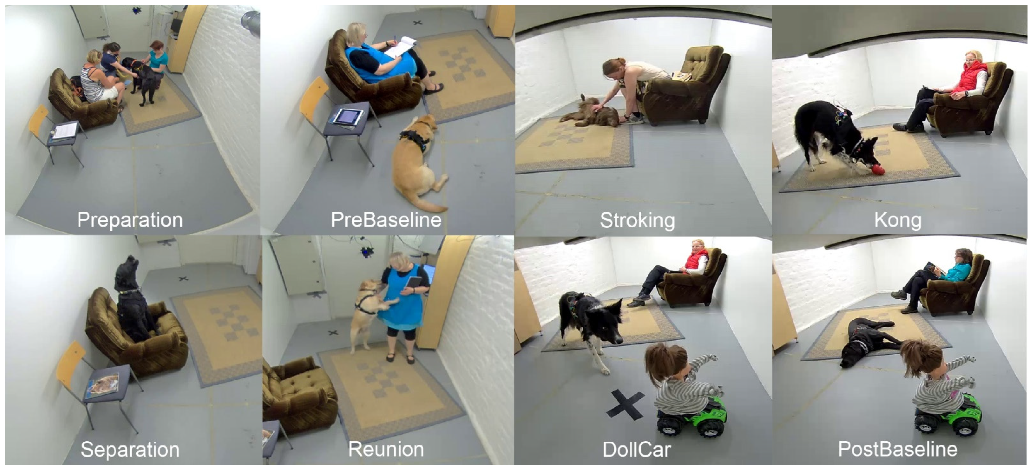 Animals 12 01338 g001