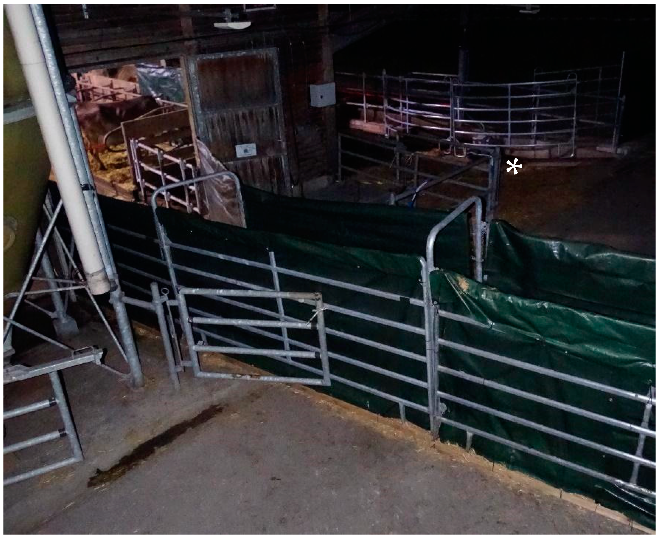 Animals 12 01344 g001