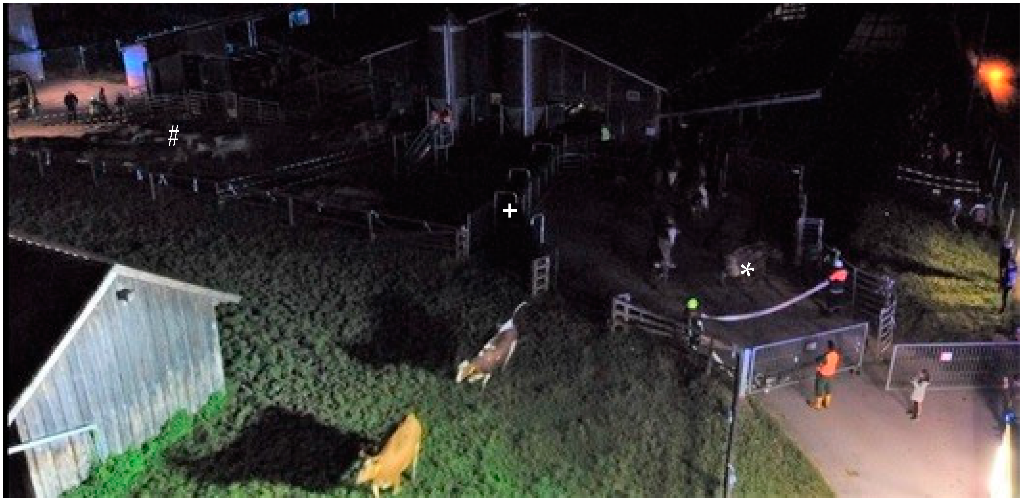 Animals 12 01344 g004