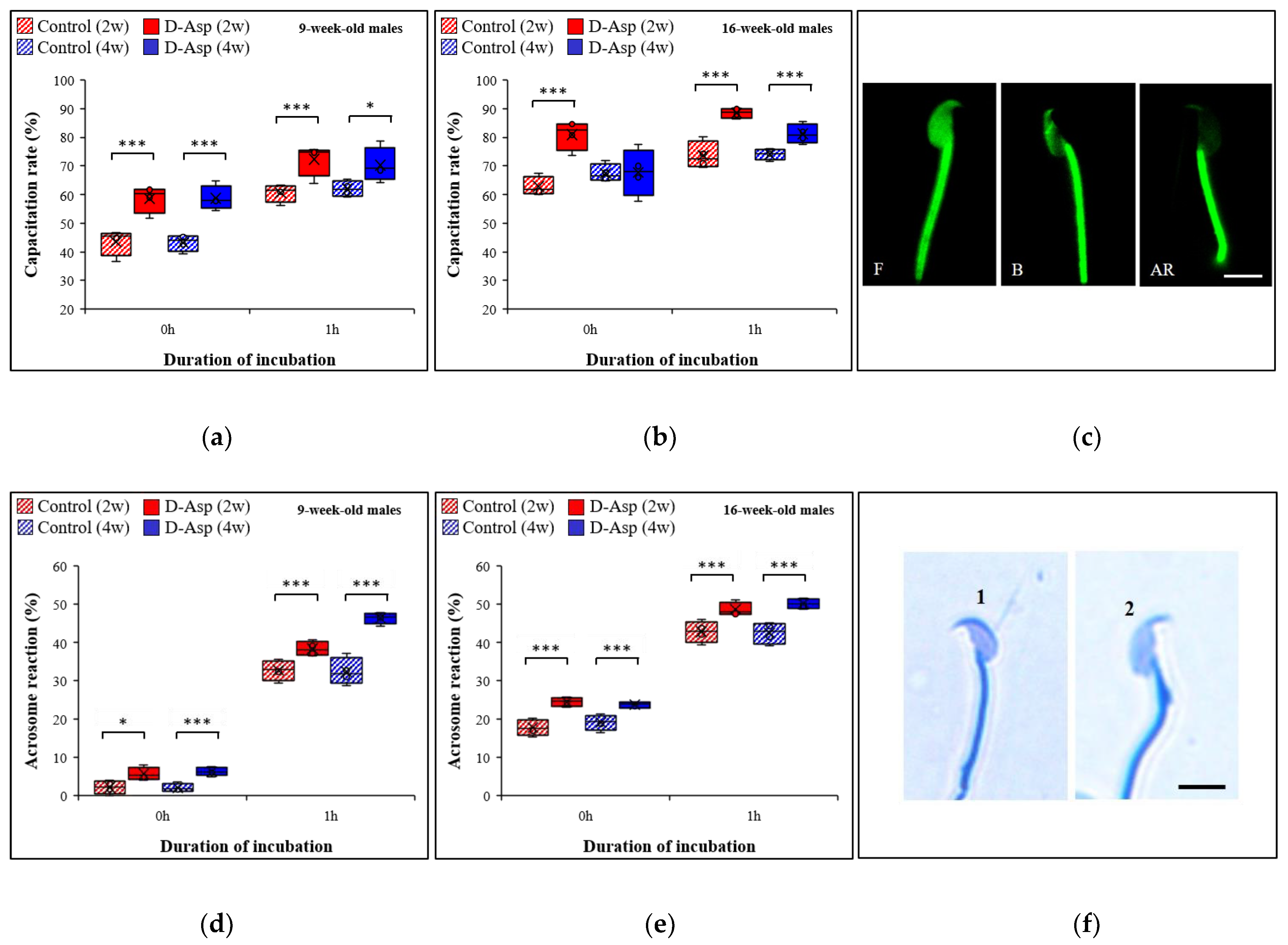 Animals 12 01350 g007 Animals 12 01350 g007