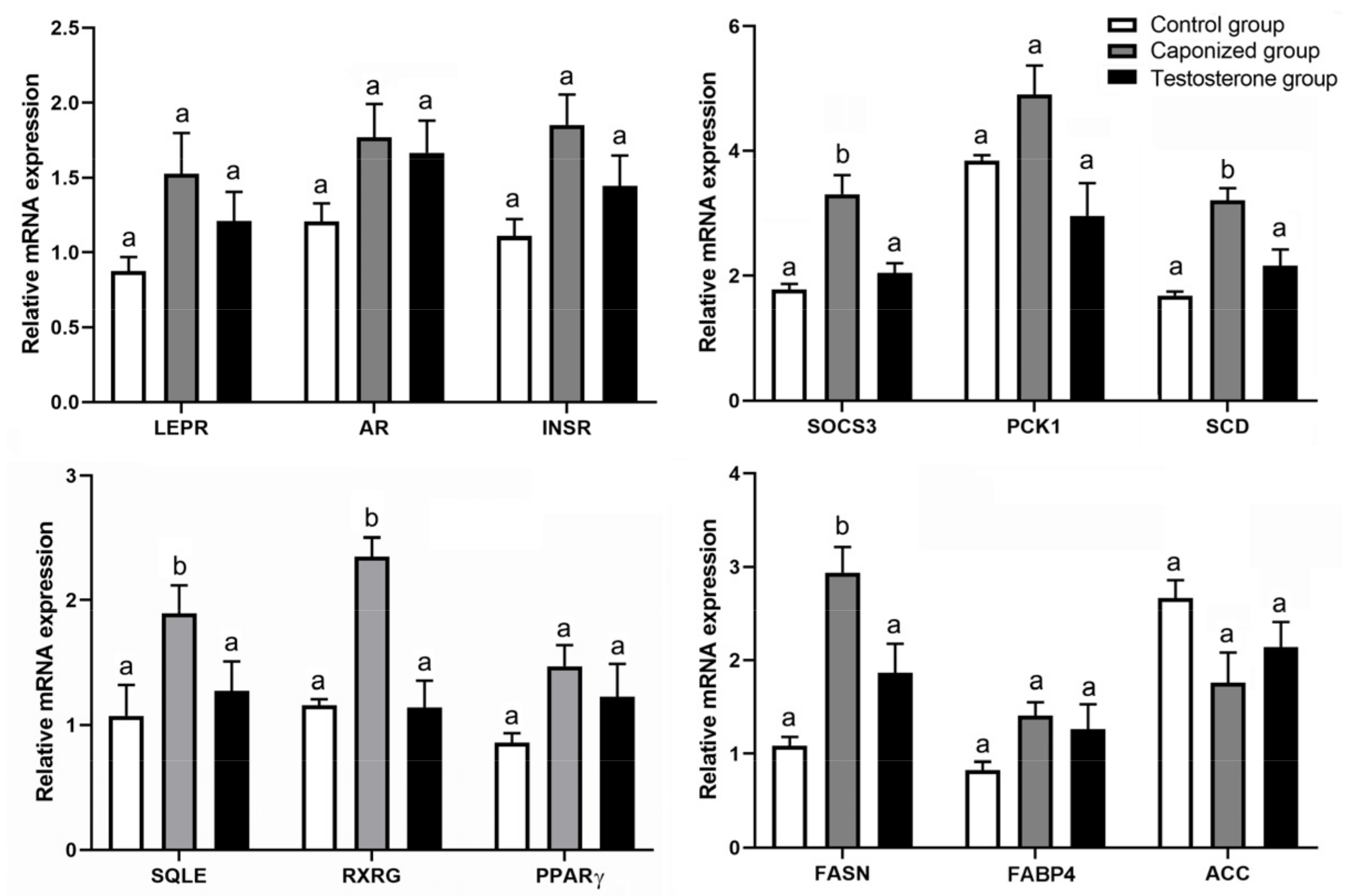 Animals 12 01364 g004