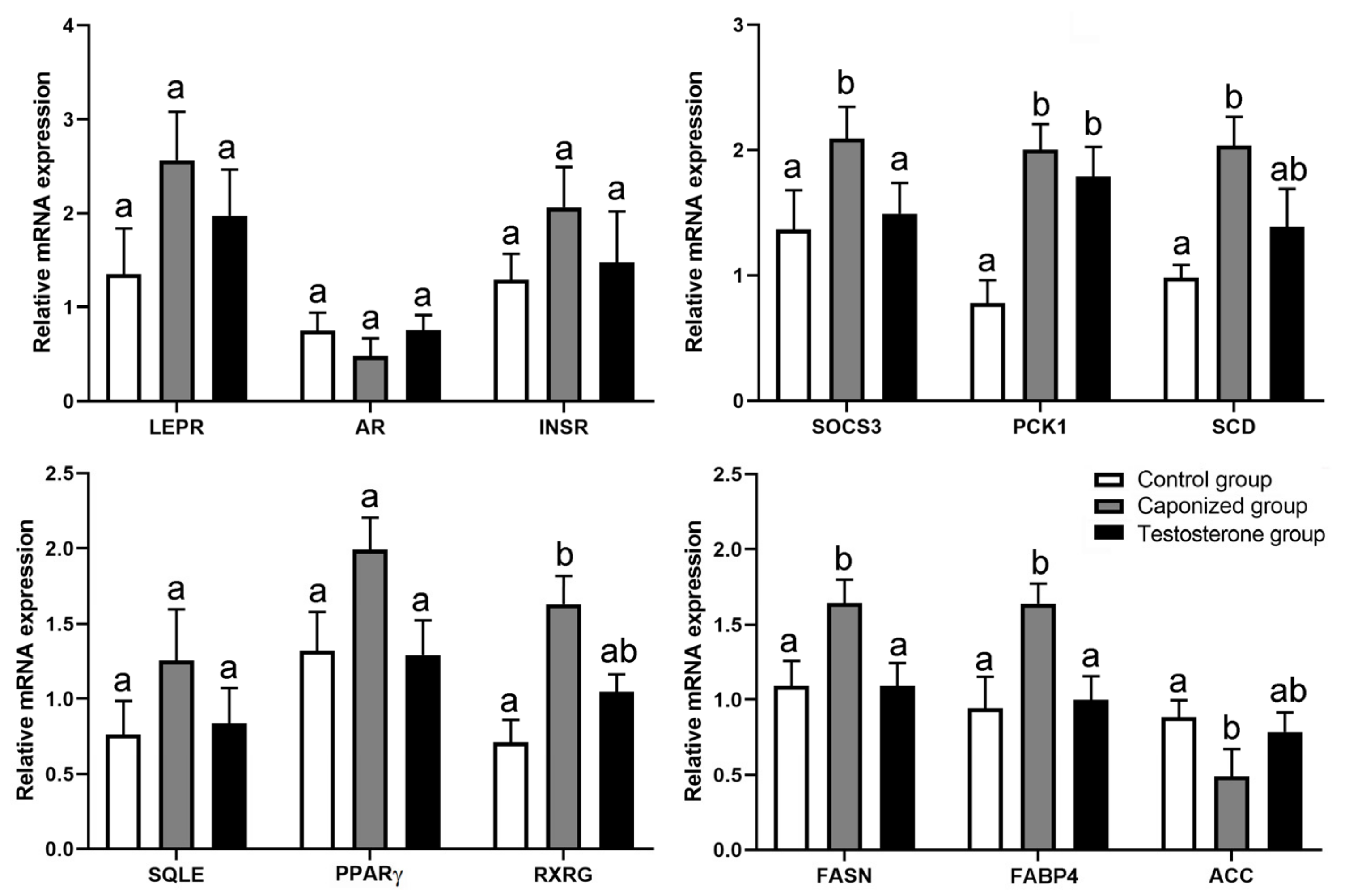 Animals 12 01364 g005