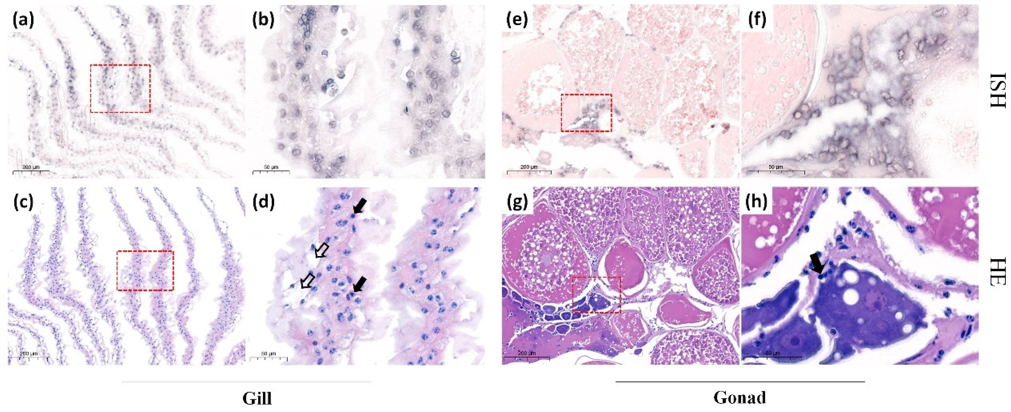 Animals 12 01370 g003