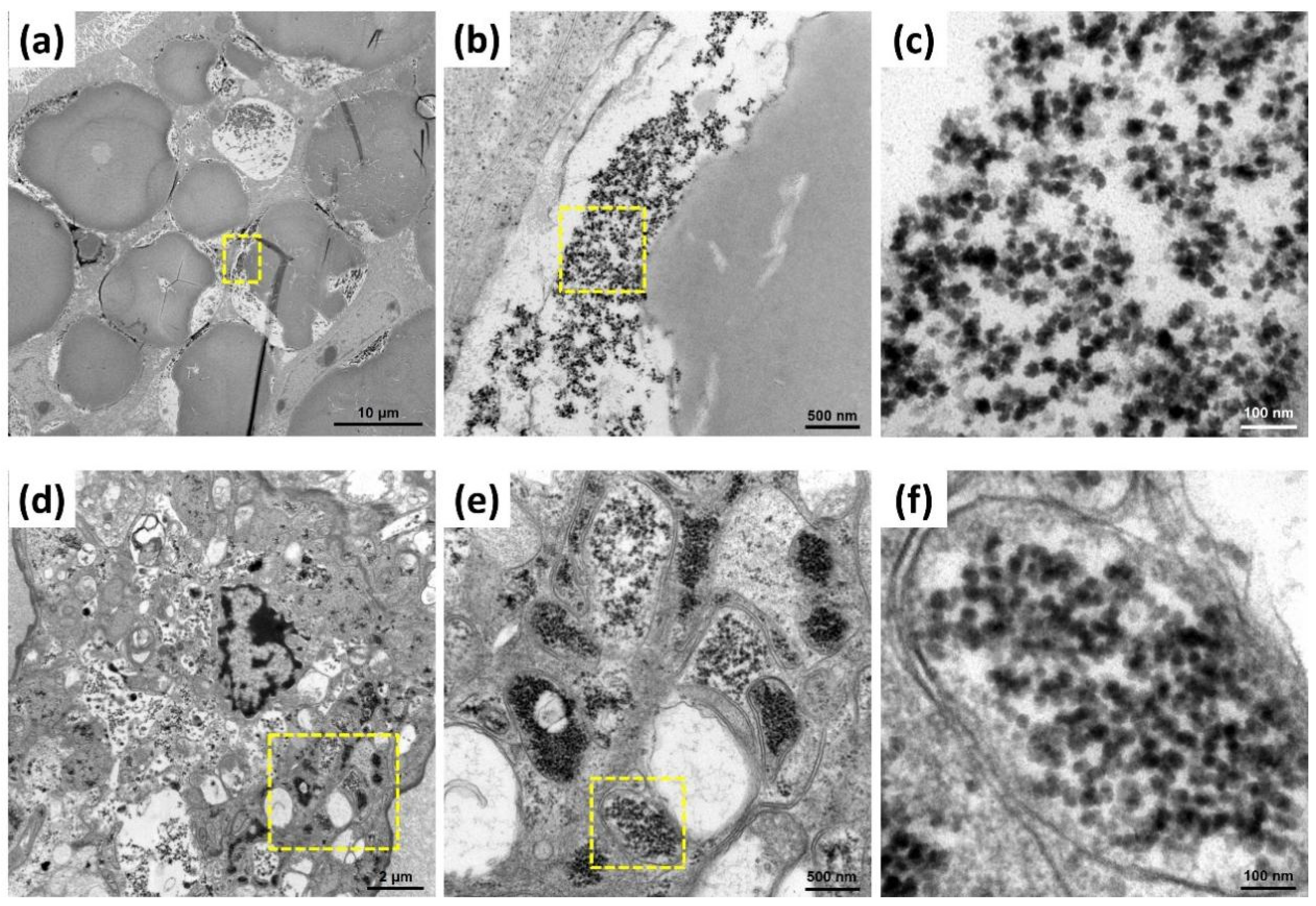 Animals 12 01370 g004