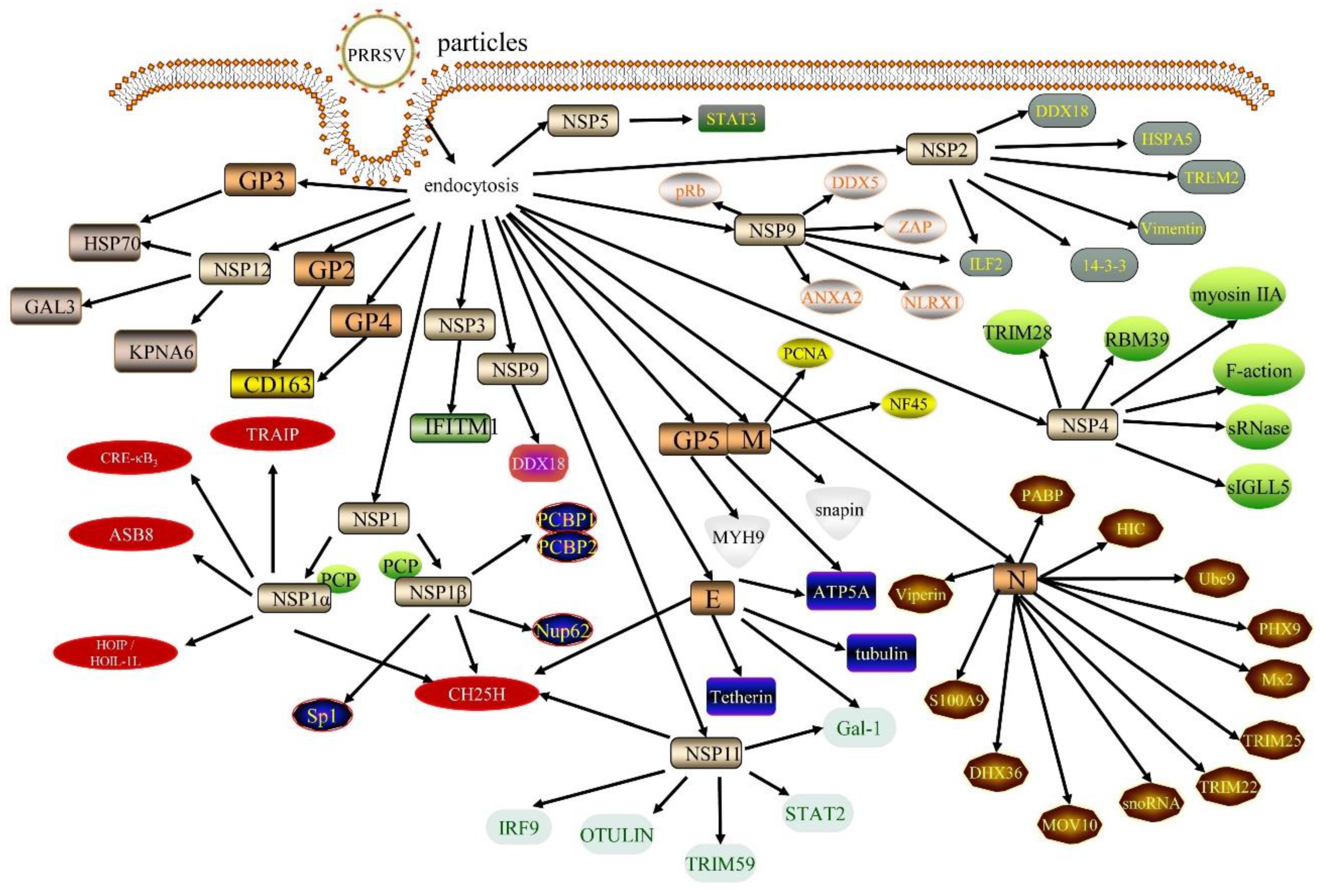 Animals 12 01381 g001 Animals 12 01381 g001