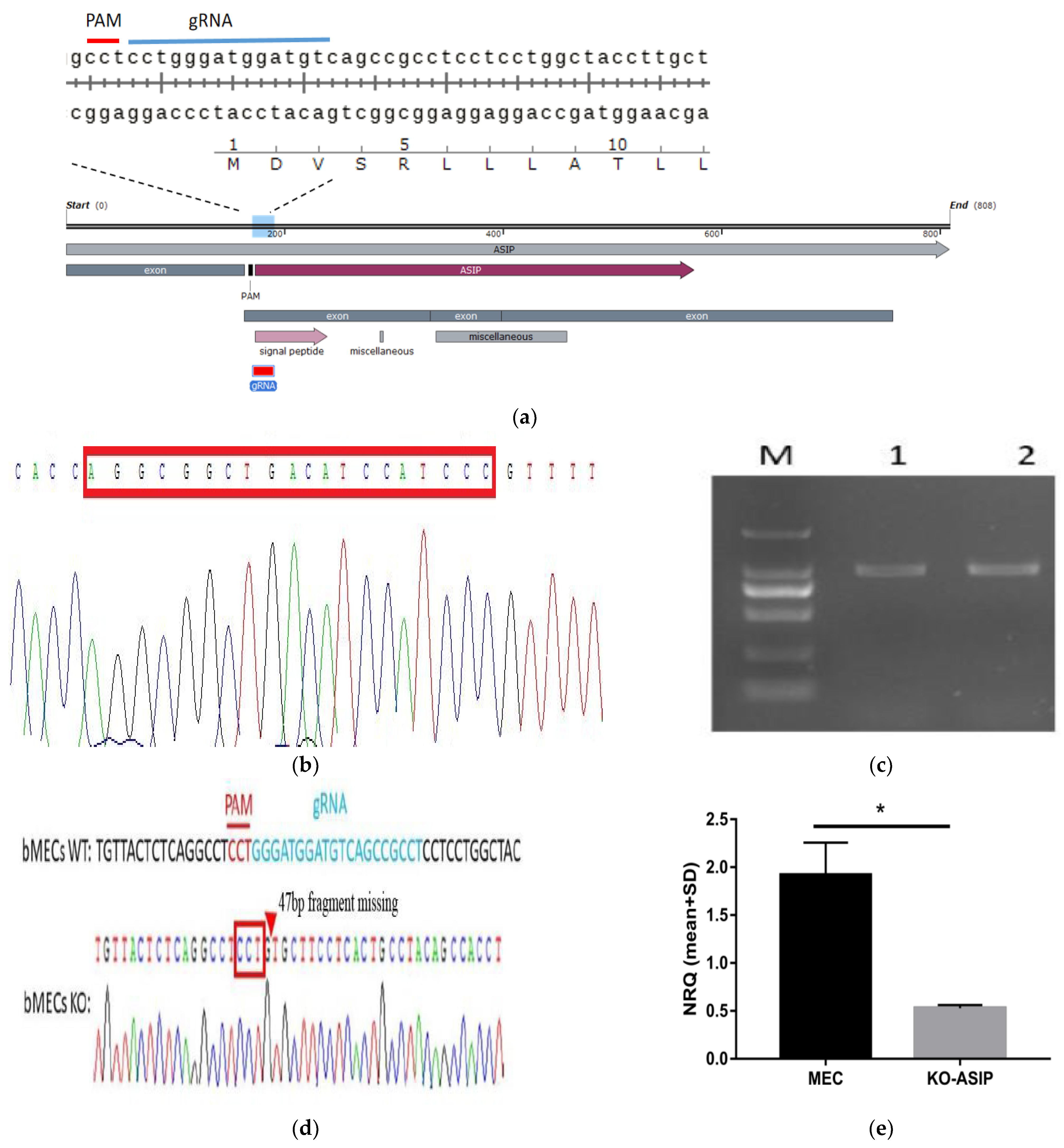 Animals 12 01389 g001
