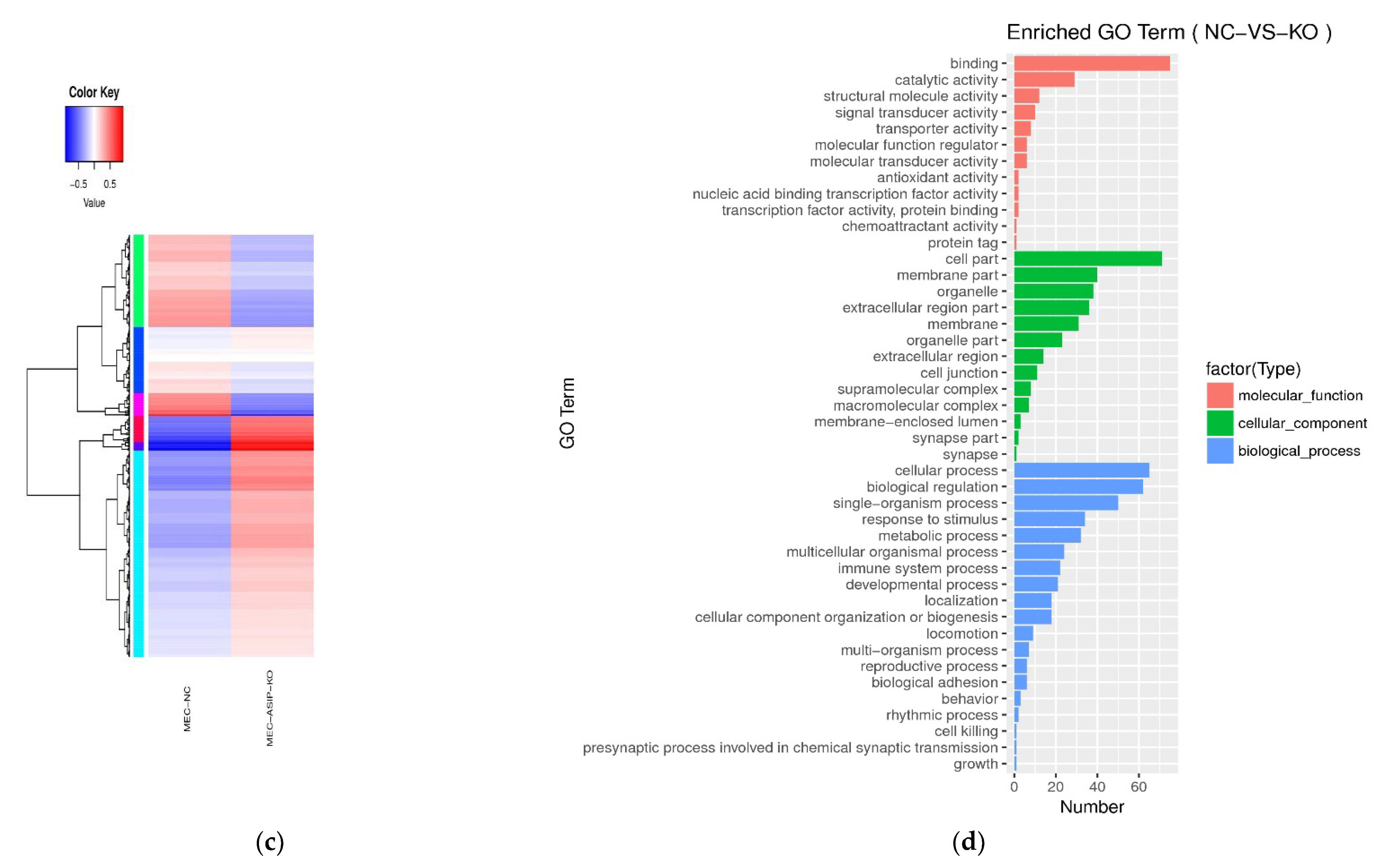 Animals 12 01389 g003b