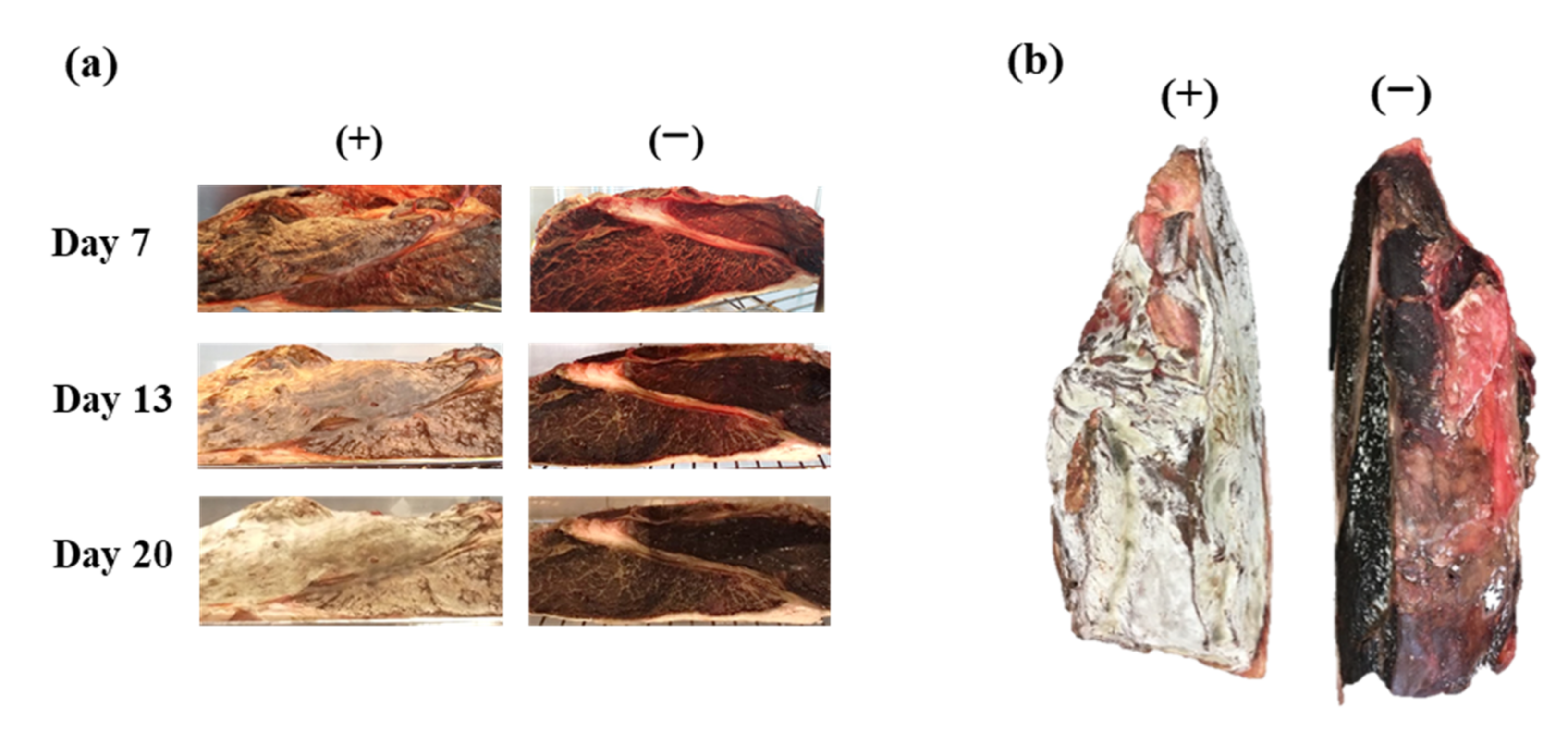 Animals 12 01391 g001