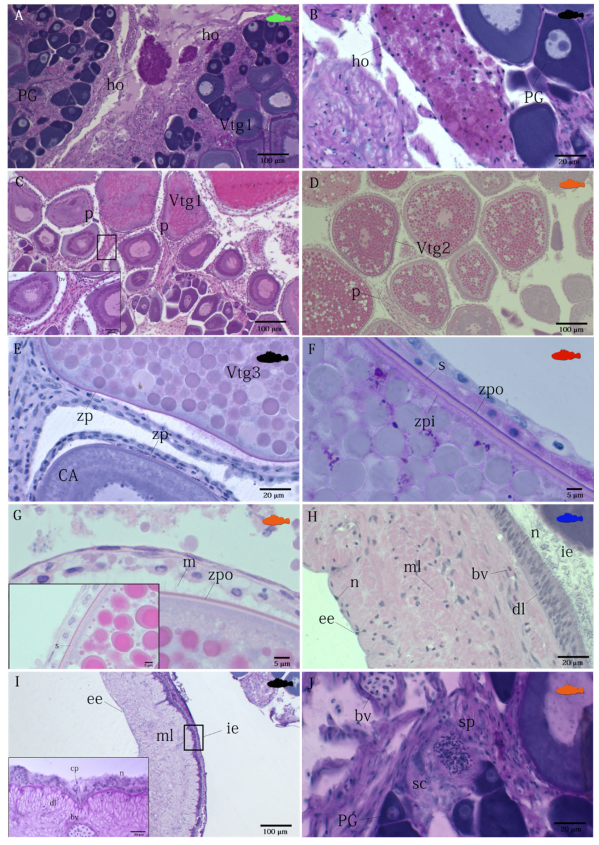 Animals 12 01412 g002