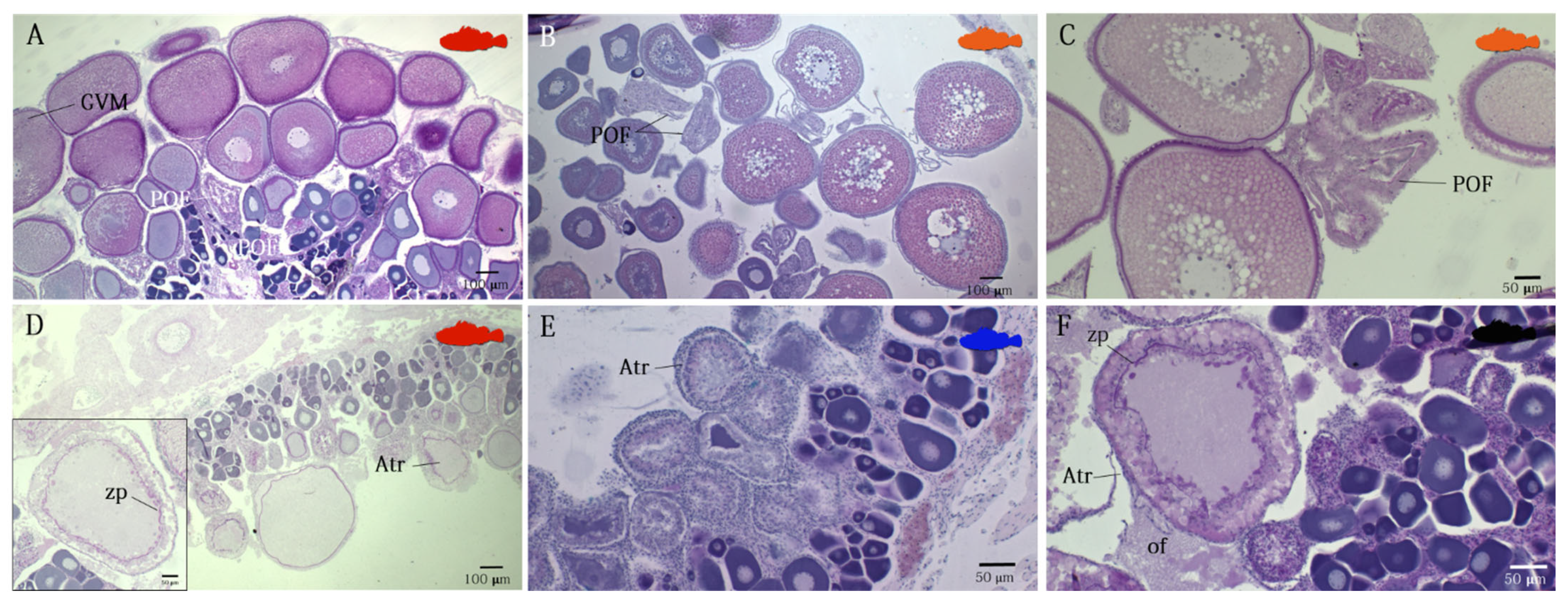 Animals 12 01412 g006