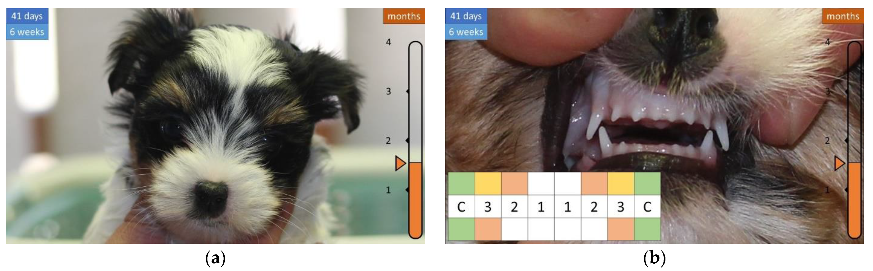 Animals 12 01417 g005