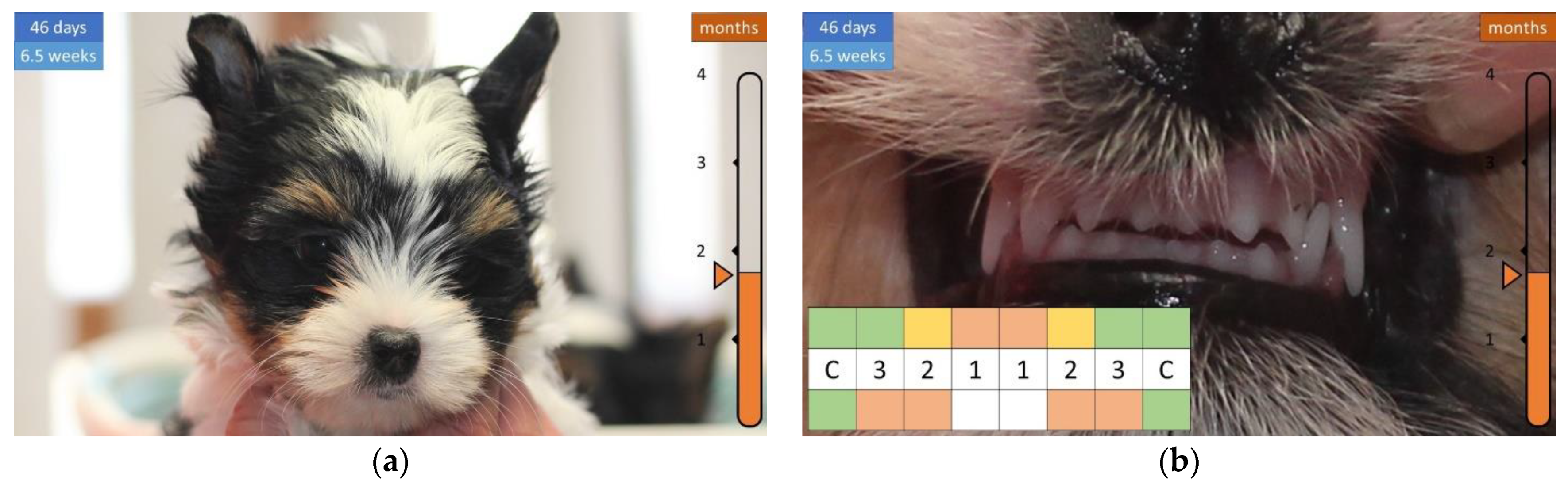 Animals 12 01417 g006