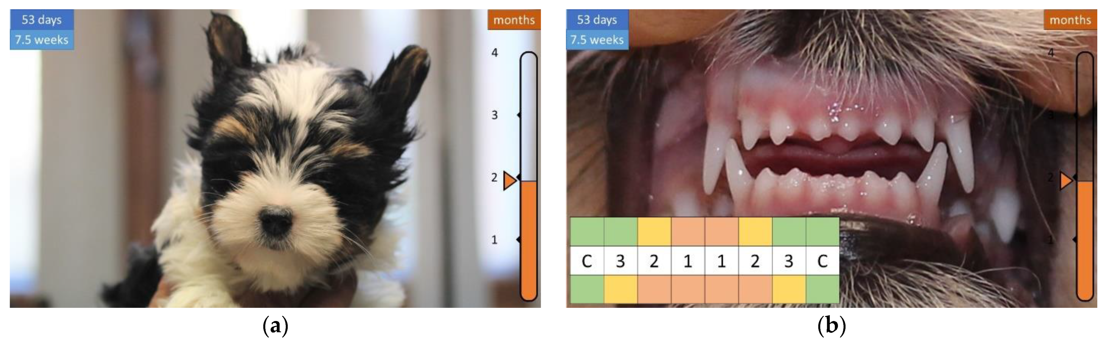 Animals 12 01417 g007