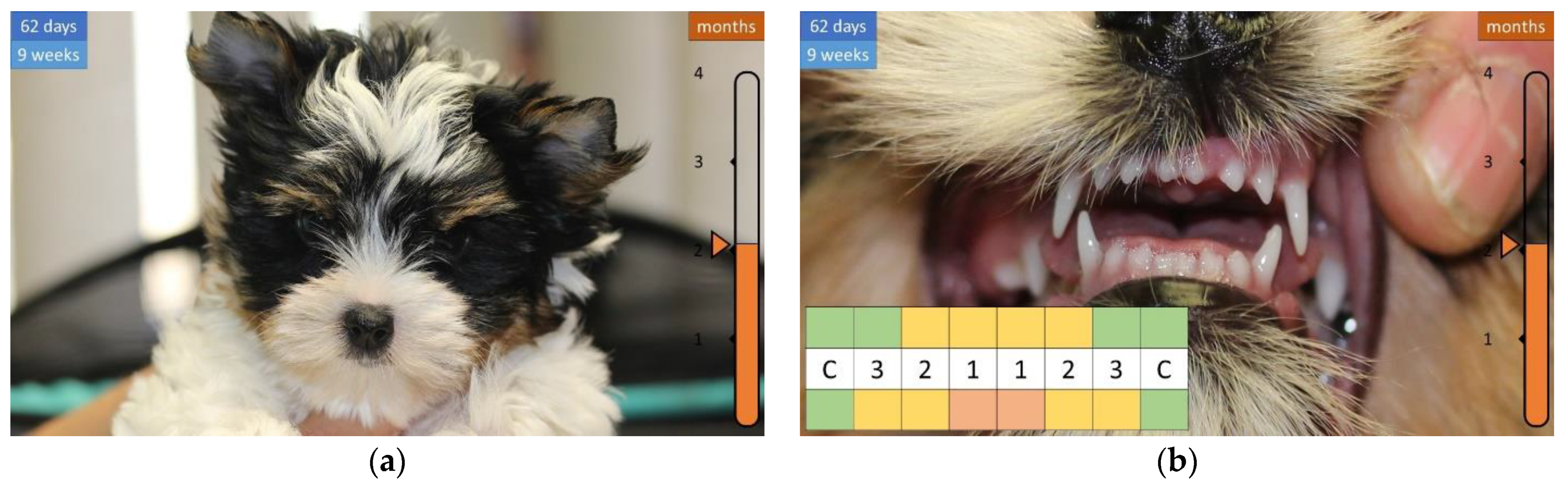 Animals 12 01417 g008