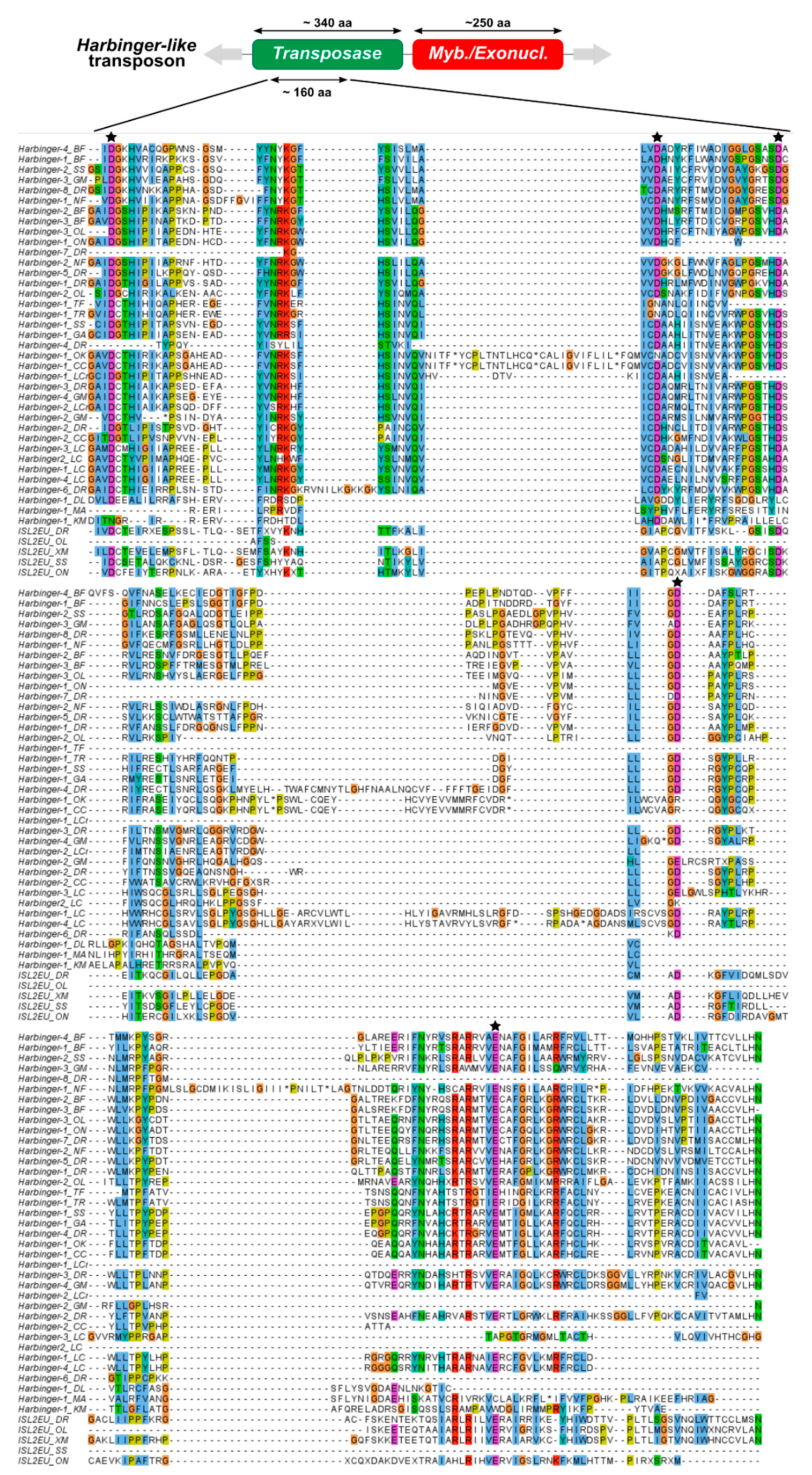 Animals 12 01429 g002