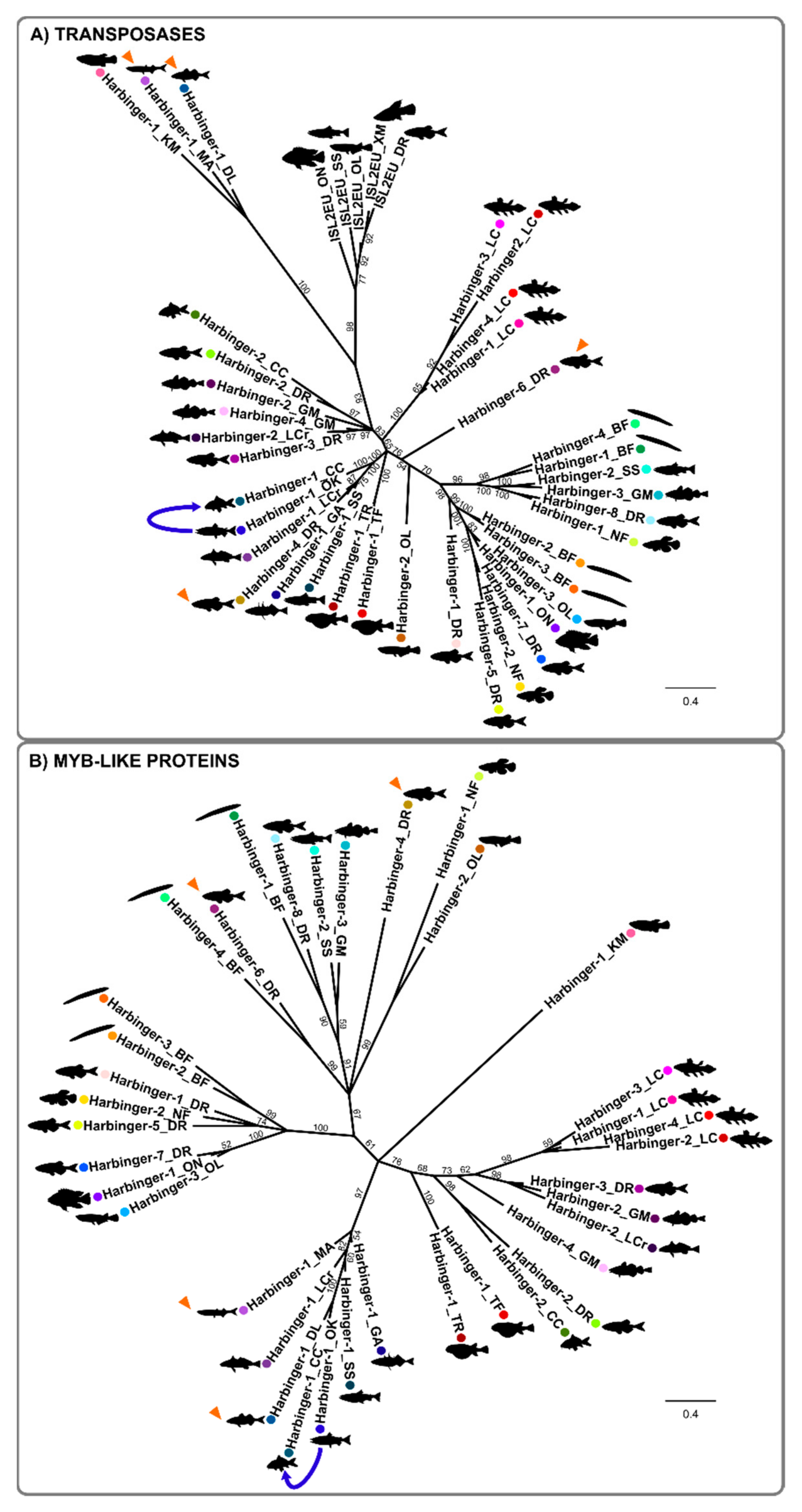 Animals 12 01429 g004