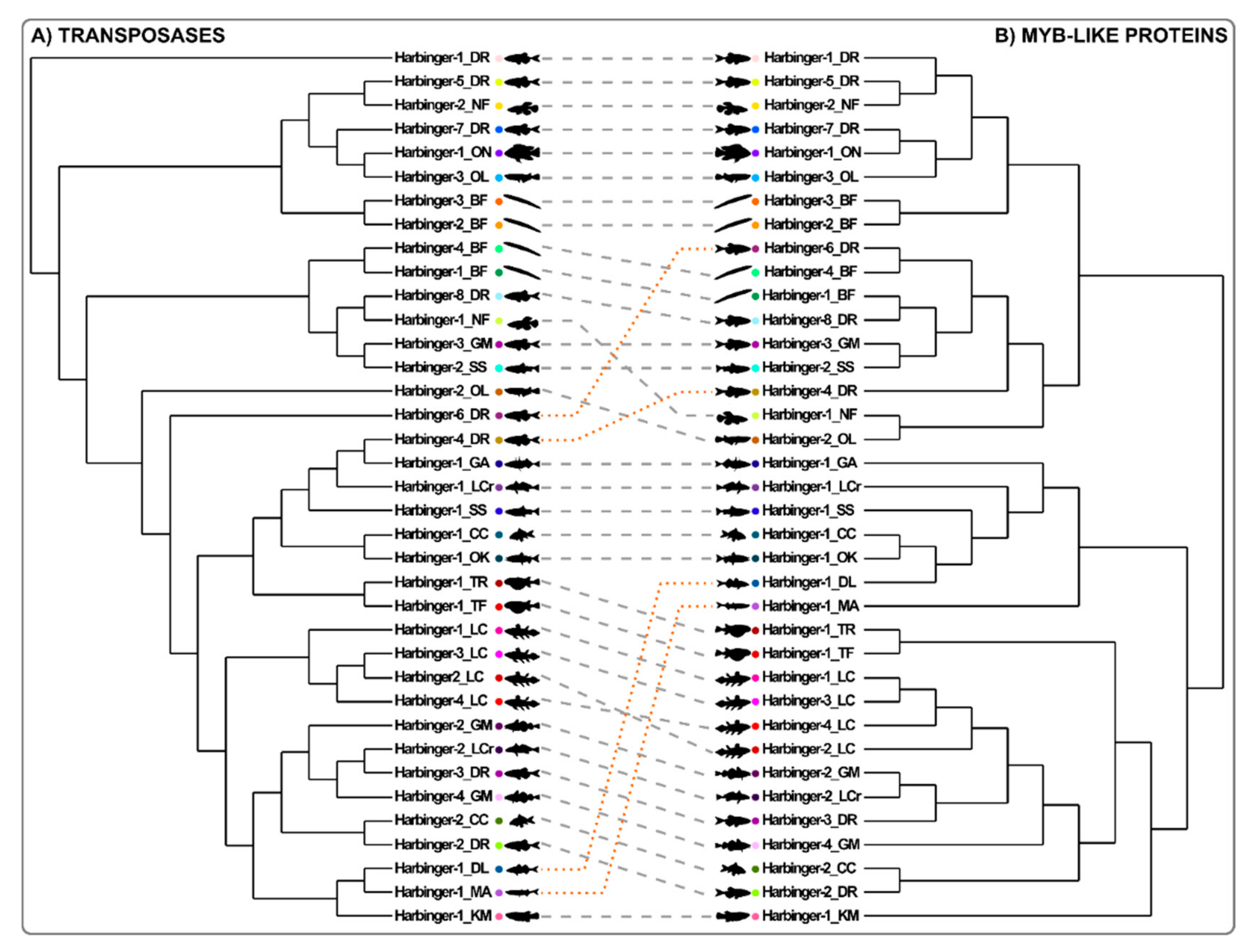 Animals 12 01429 g005