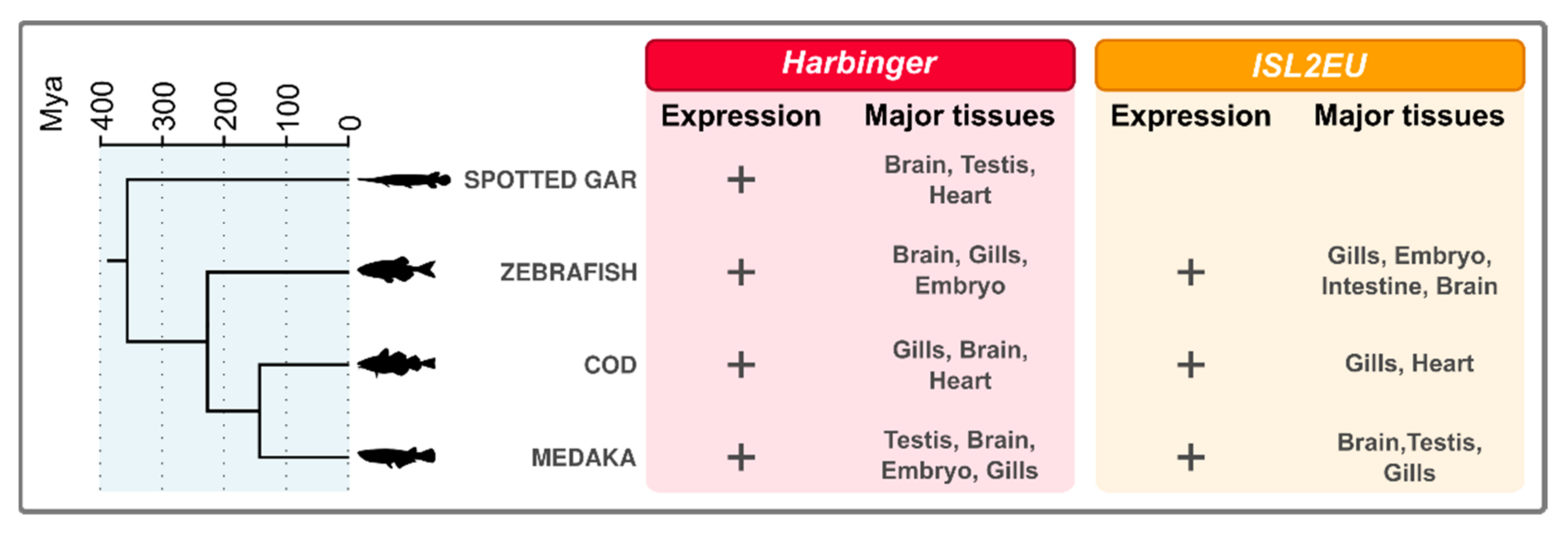Animals 12 01429 g006