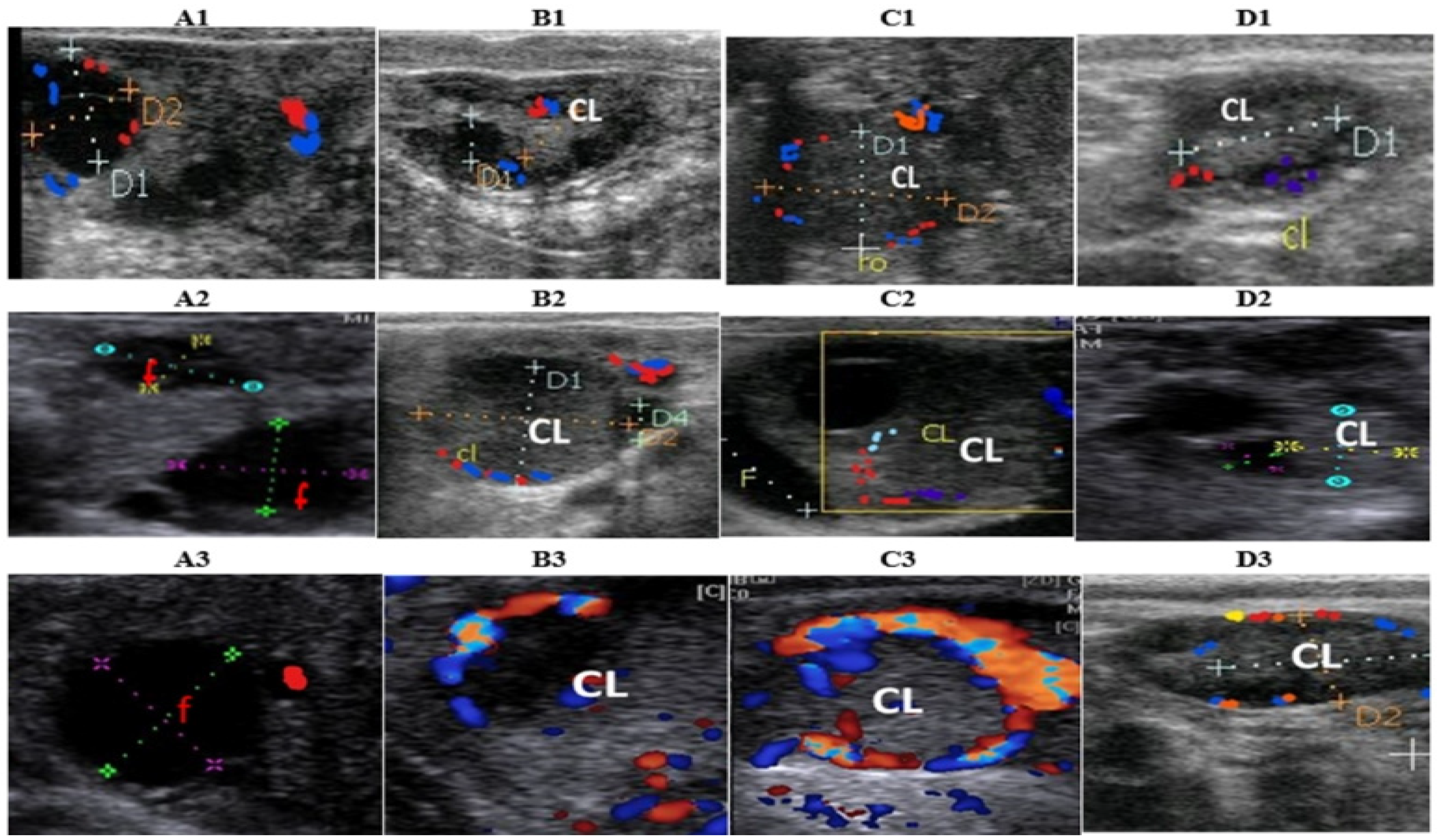 Animals 12 01442 g001