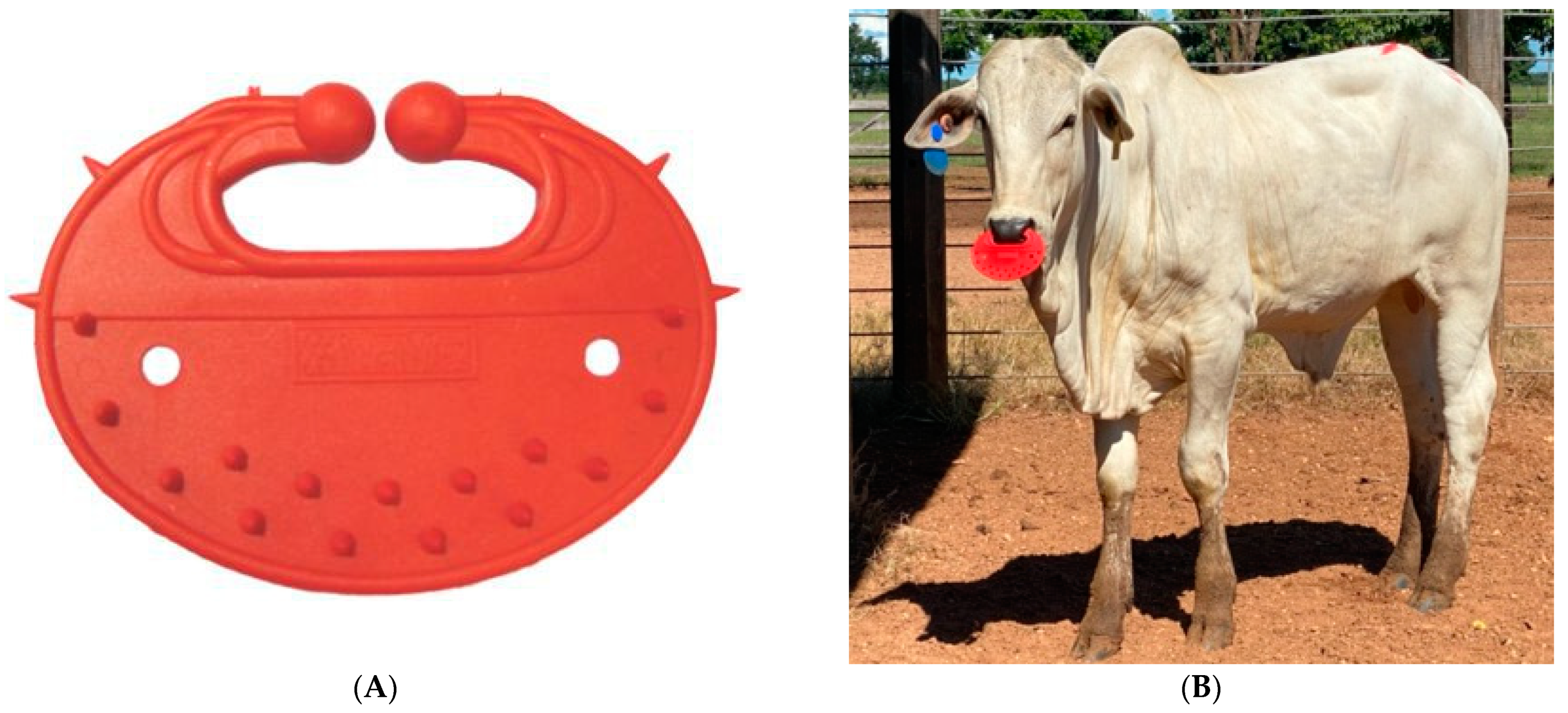 Animals 12 01452 g001