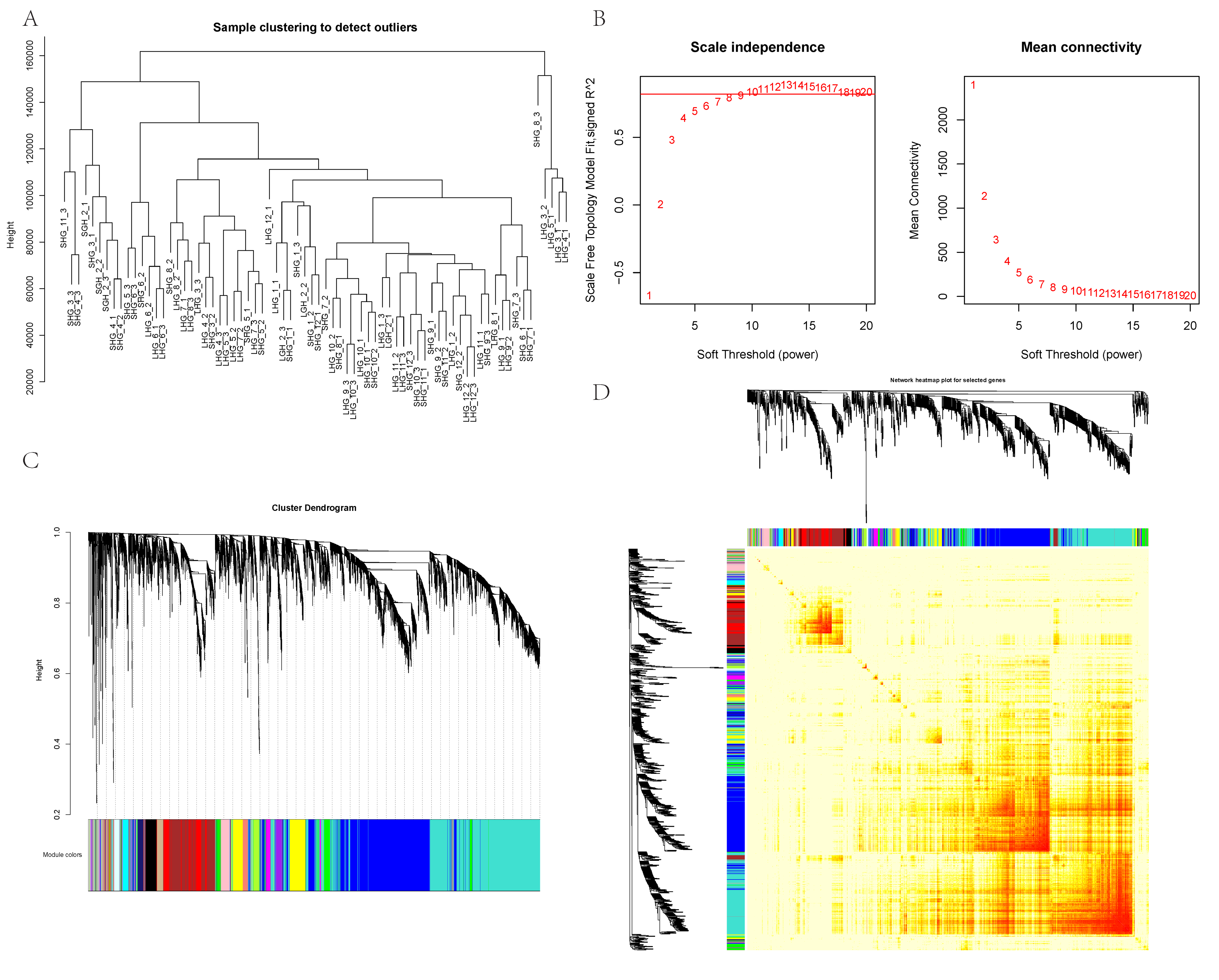 Animals 12 01456 g002