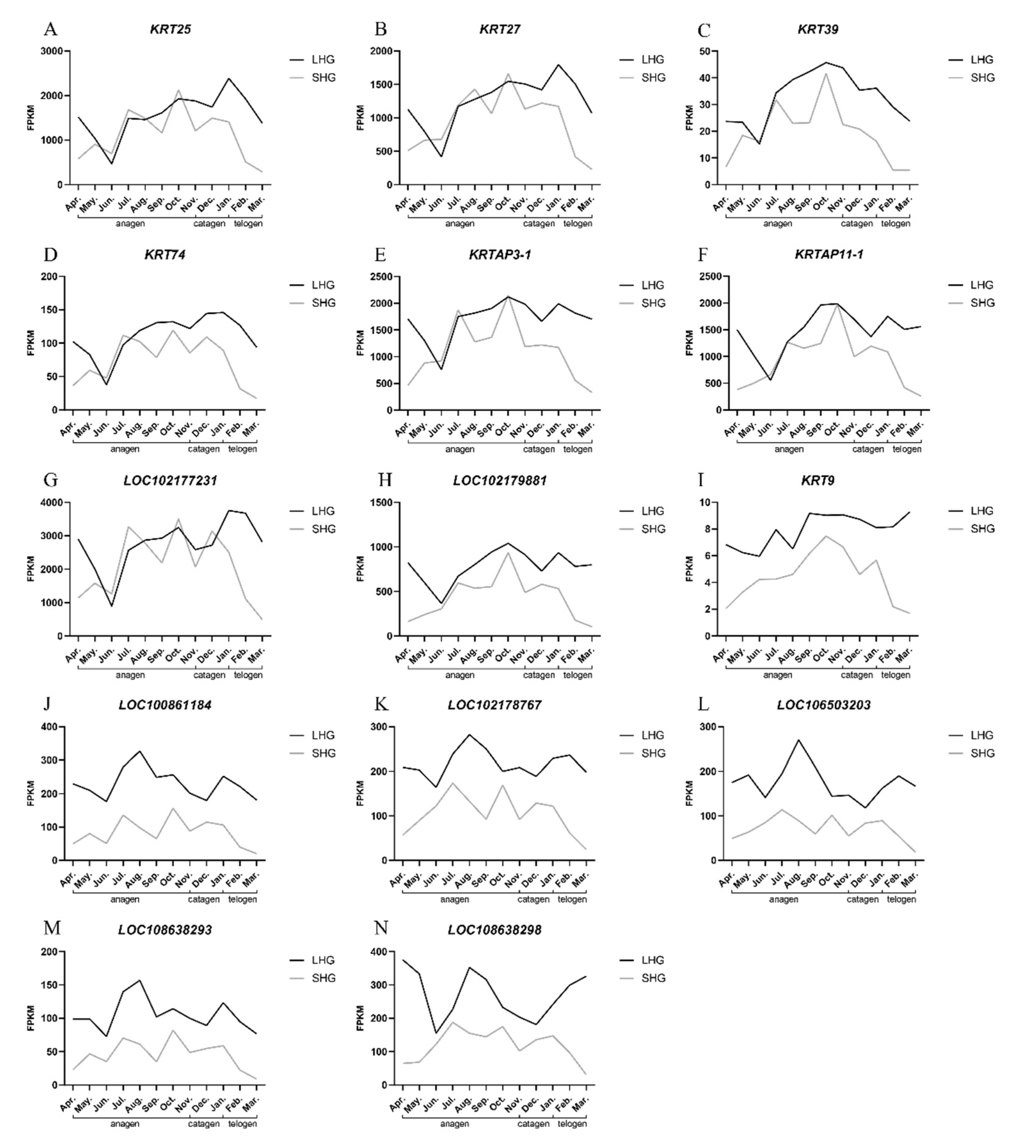 Animals 12 01456 g006